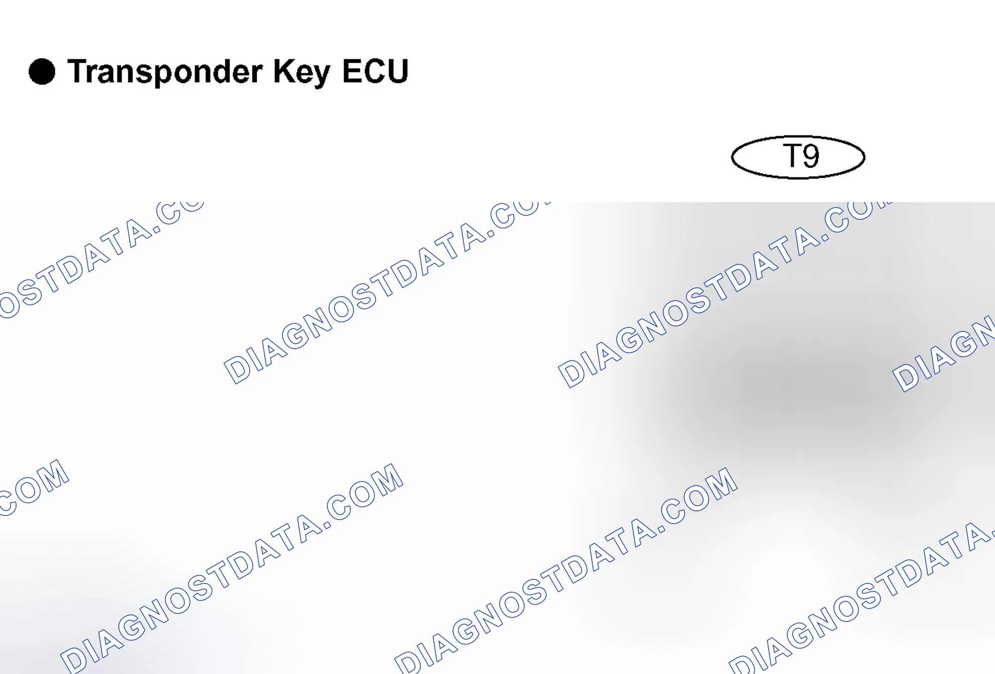 Scheme 32: Identifying Transponder Key ECU Terminals