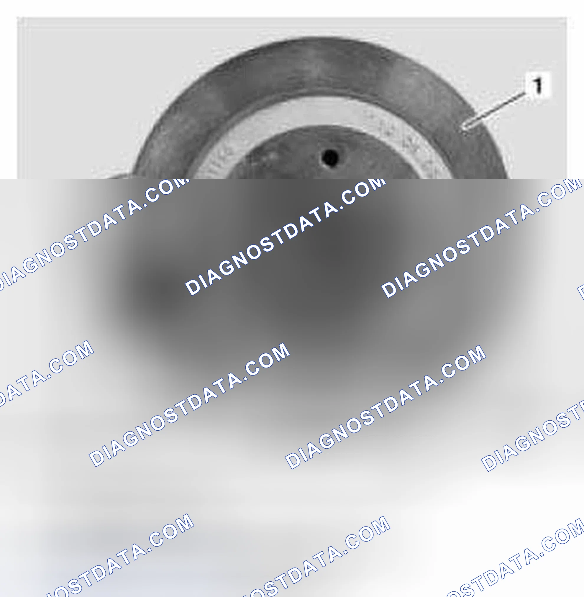 Scheme 55: Rear Wheel Brake Assembly
