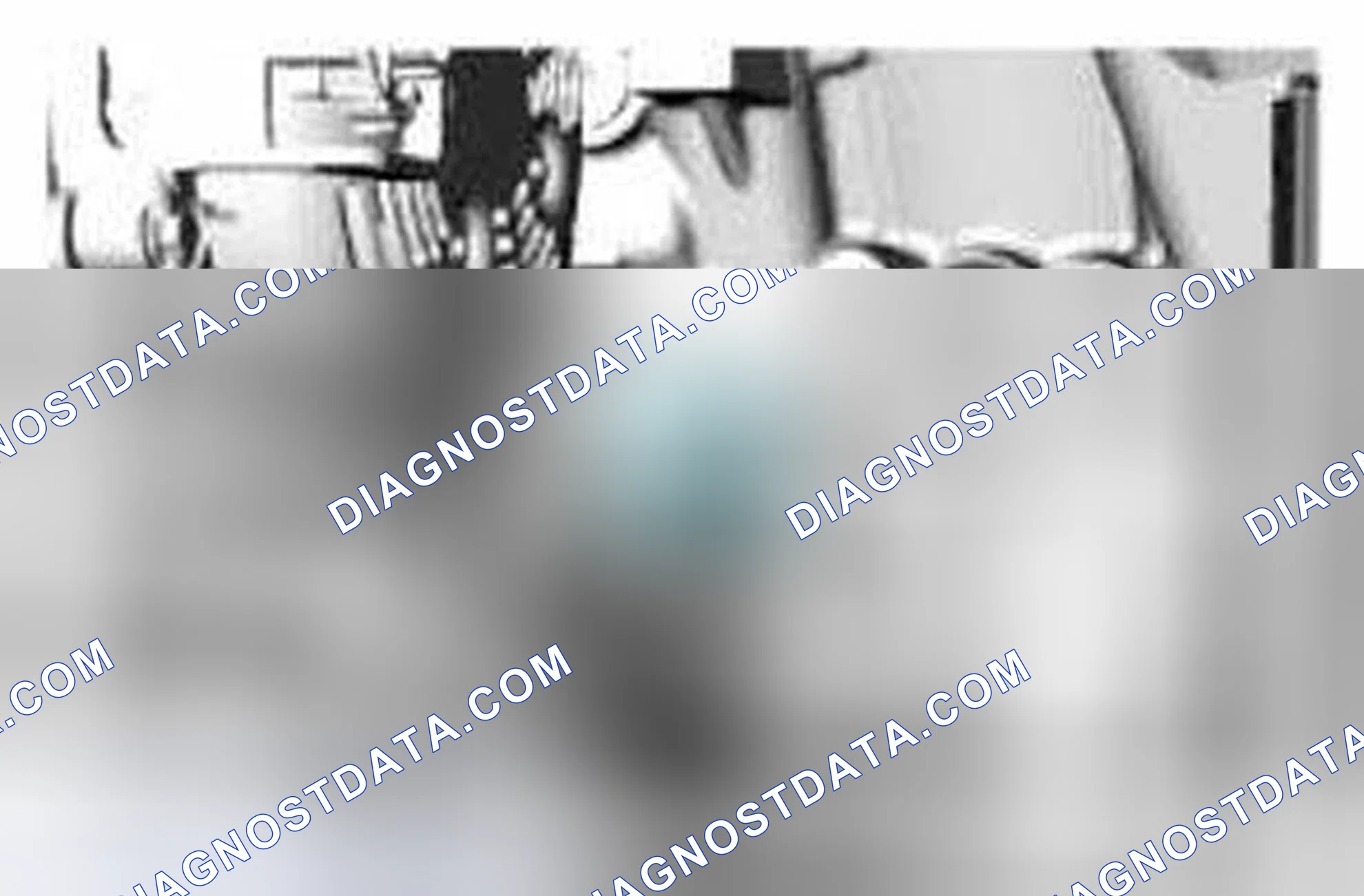 Scheme 556