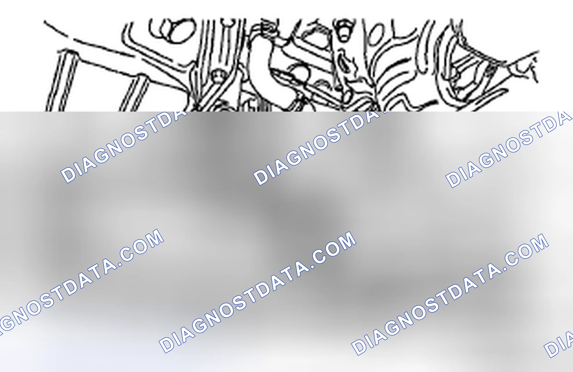 Scheme 46: DRAINING OF ENGINE COOLANT
