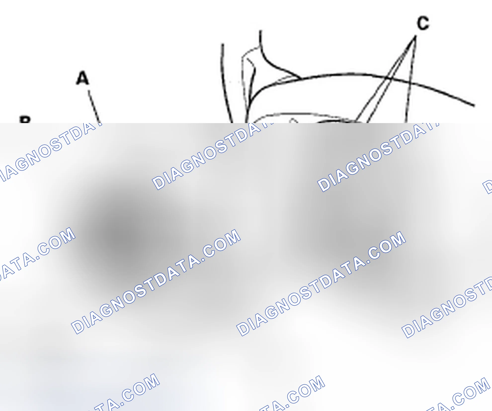 Scheme 124