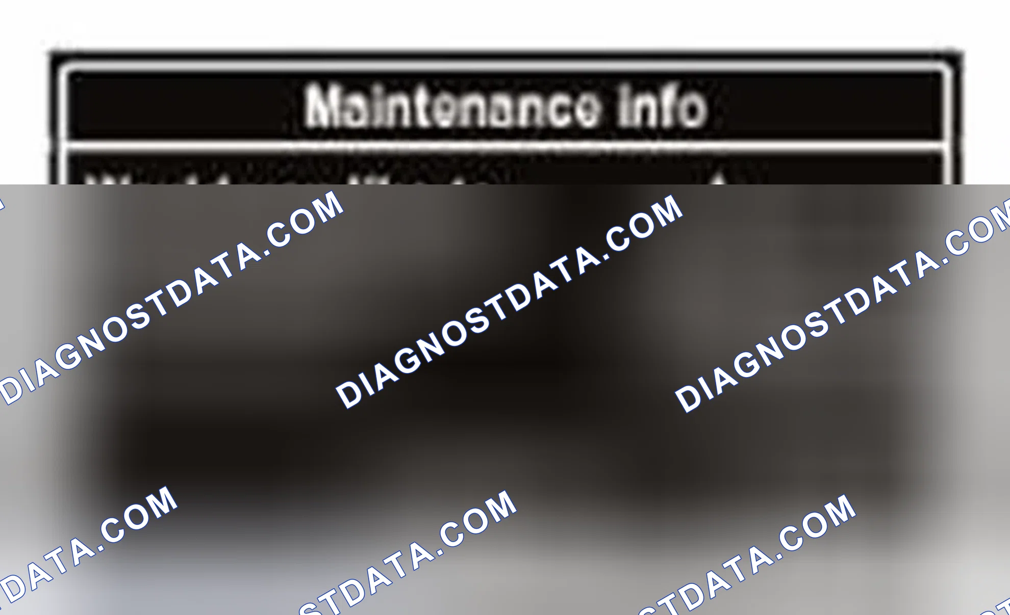 Scheme 13: Multi-information Display