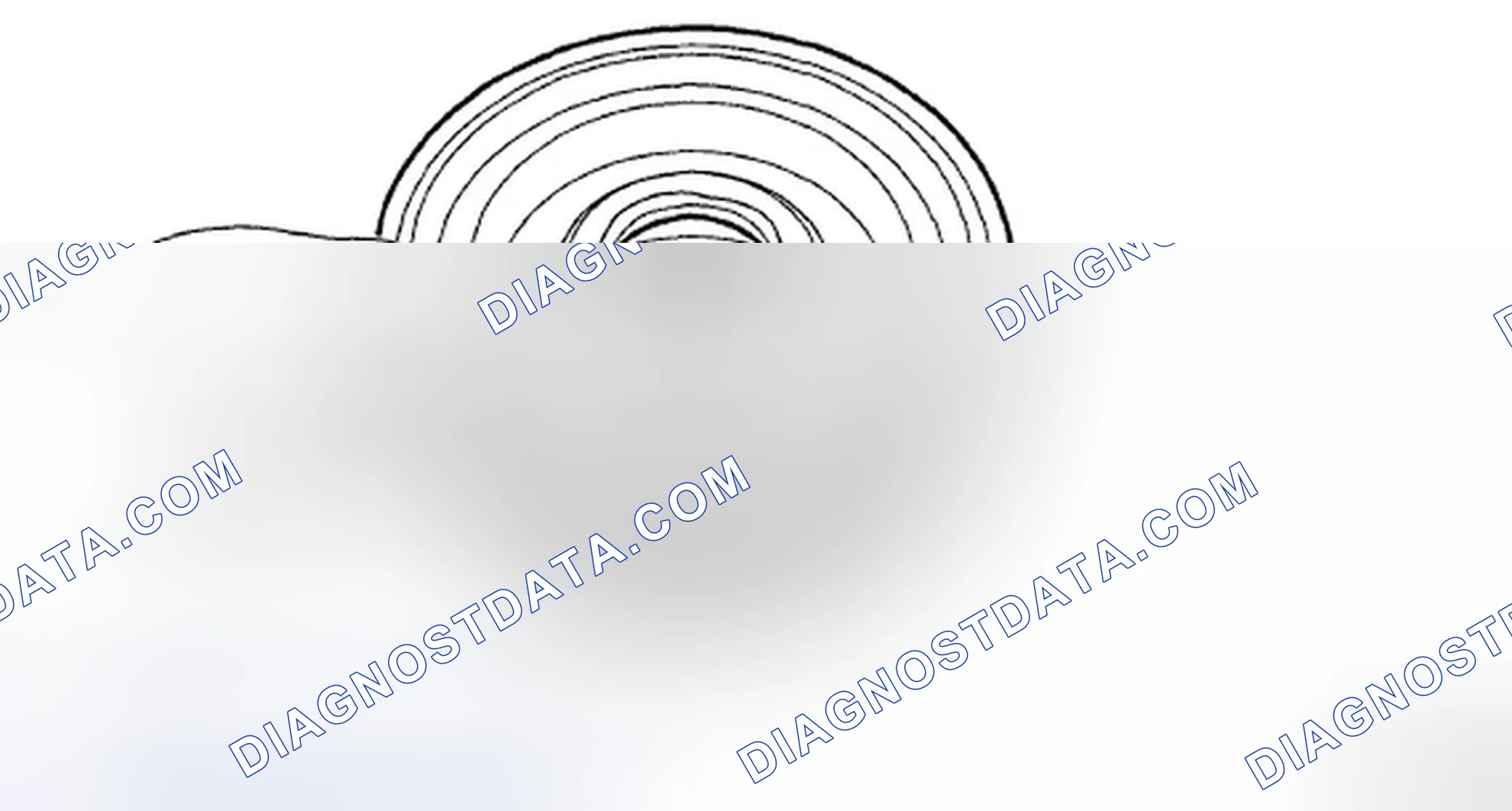 Scheme 325: ASSEMBLY