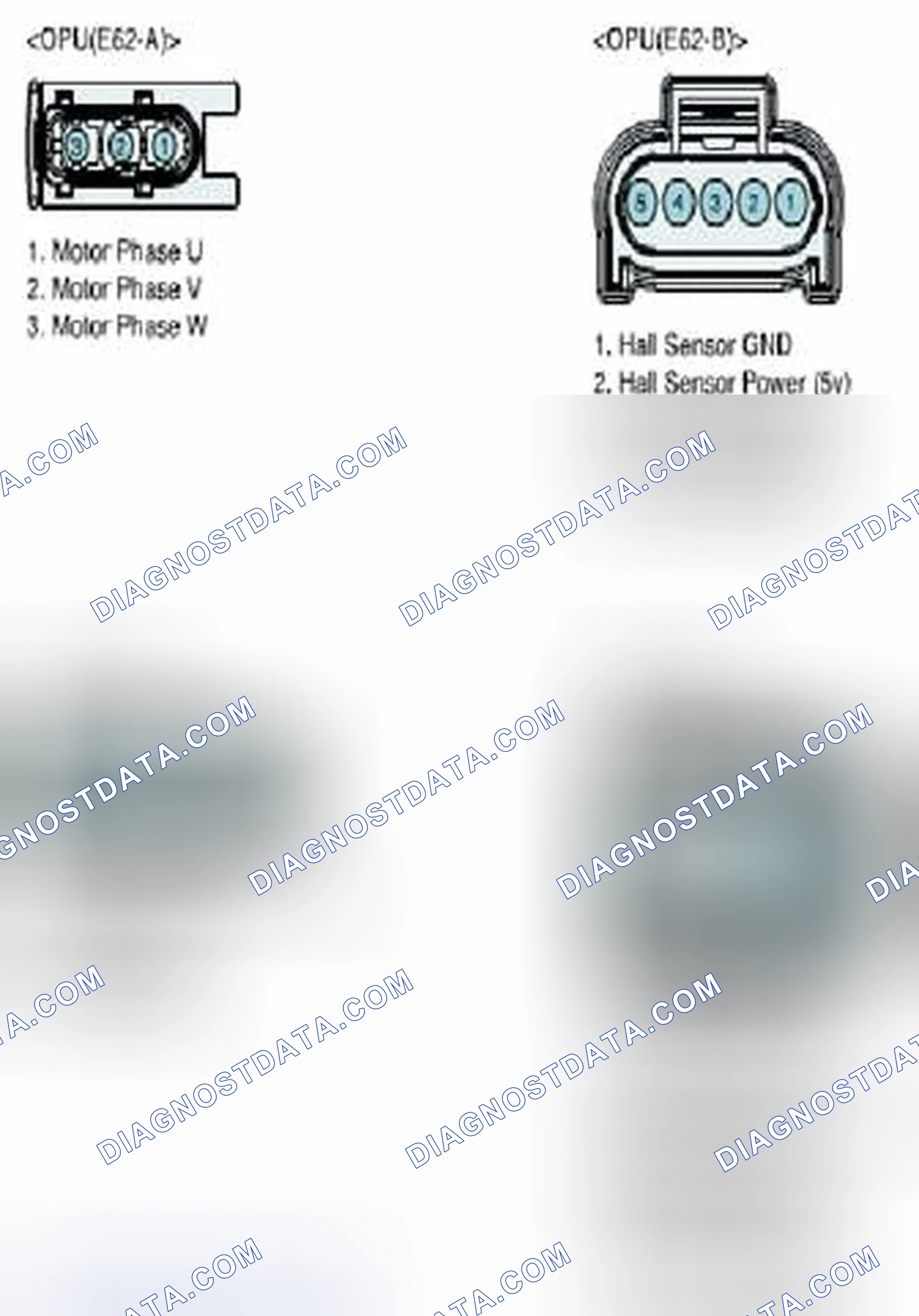 Scheme 894