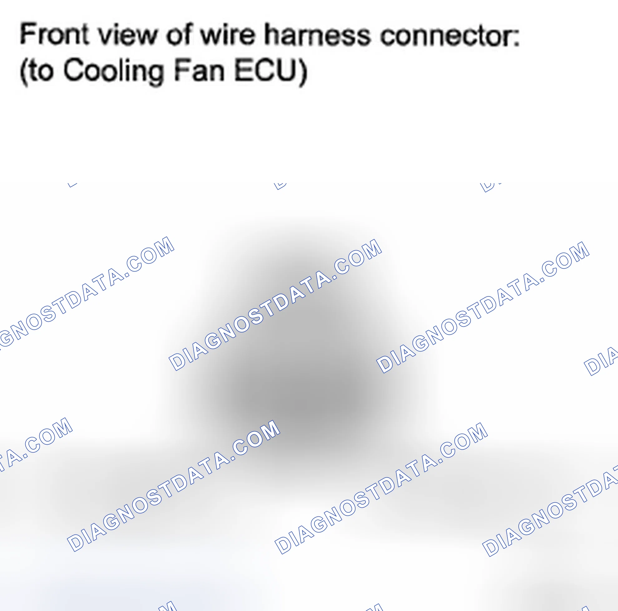 Scheme 58: ON-VEHICLE INSPECTION