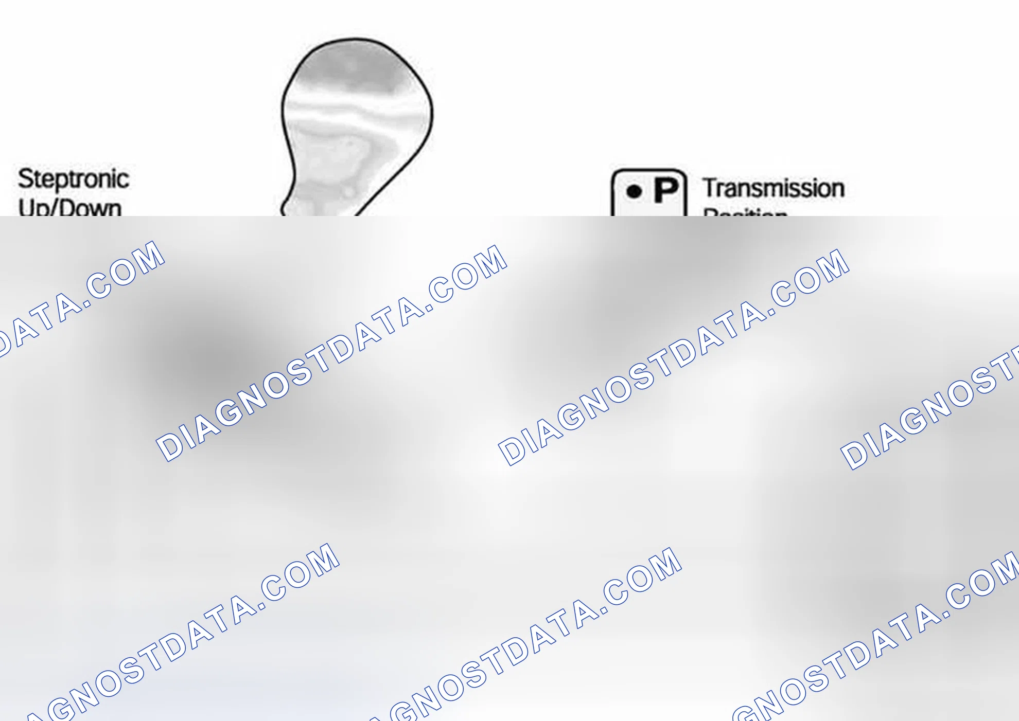 Scheme 318: Steptronic Components