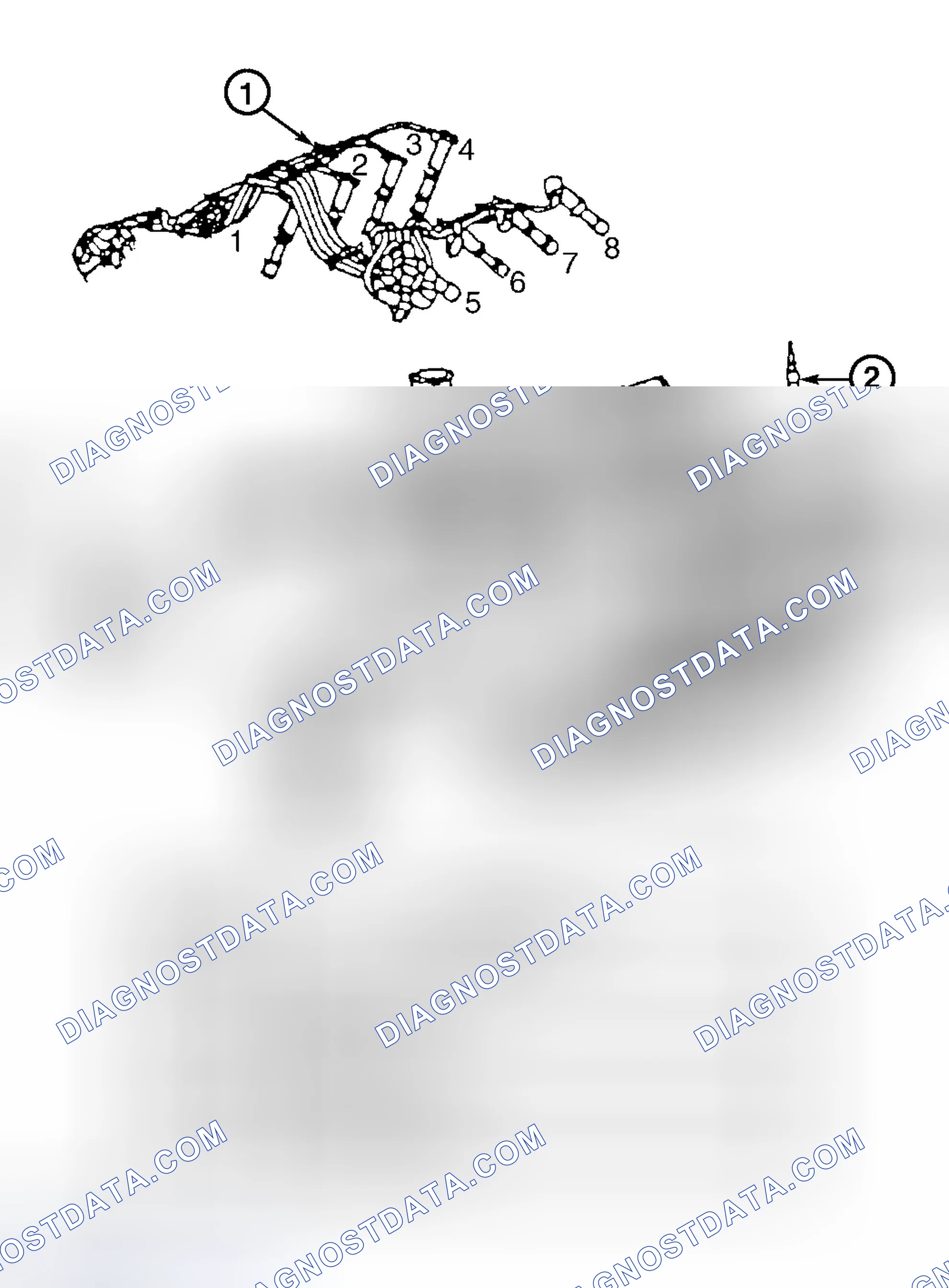 Scheme 15: Spark Plug Wire Routing (4.6L With Light-Duty Emissions)