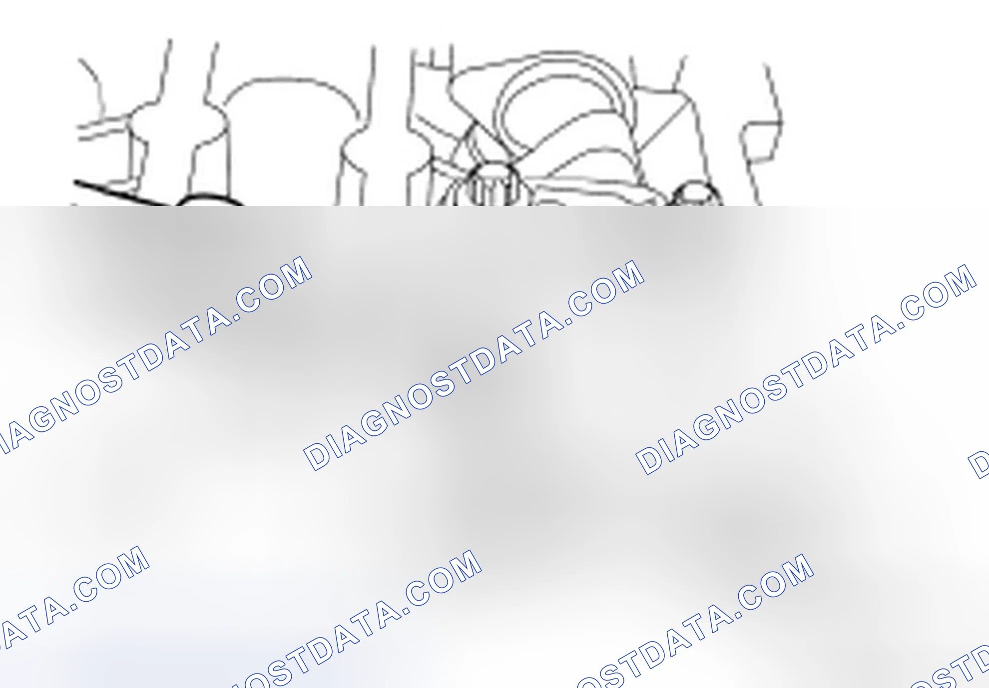 Scheme 256: Valve Clearance Check