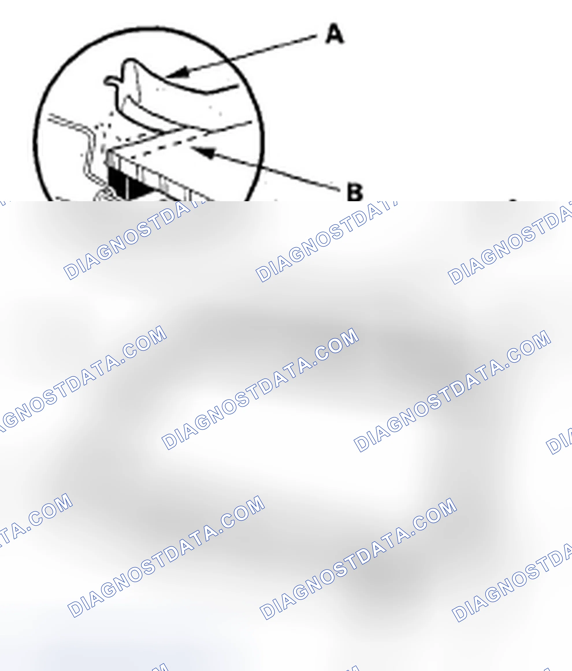 Scheme 17: Windshield Replacement