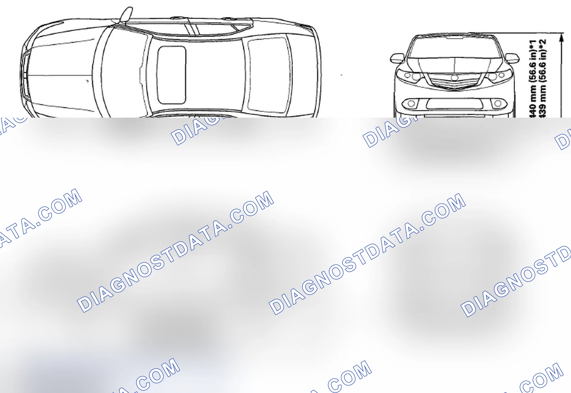 Scheme 38: Body Specifications
