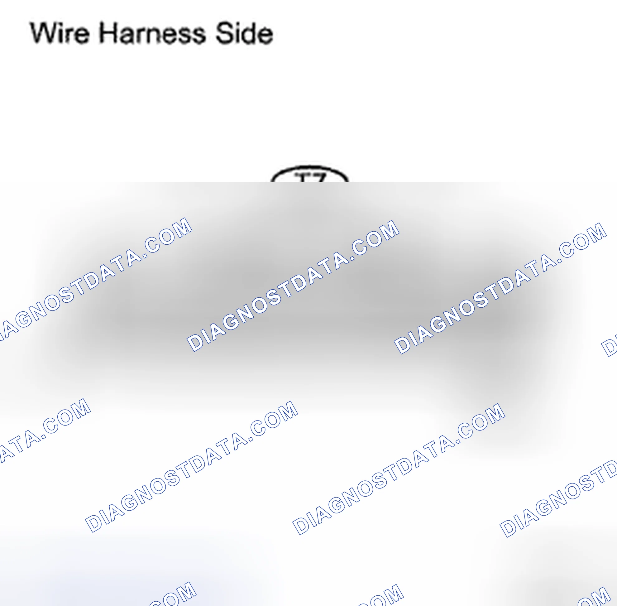 Scheme 57: INSPECTION PROCEDURE