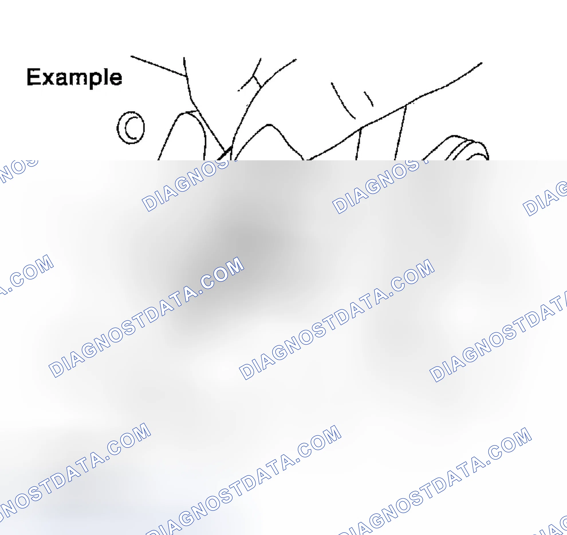 Scheme 381