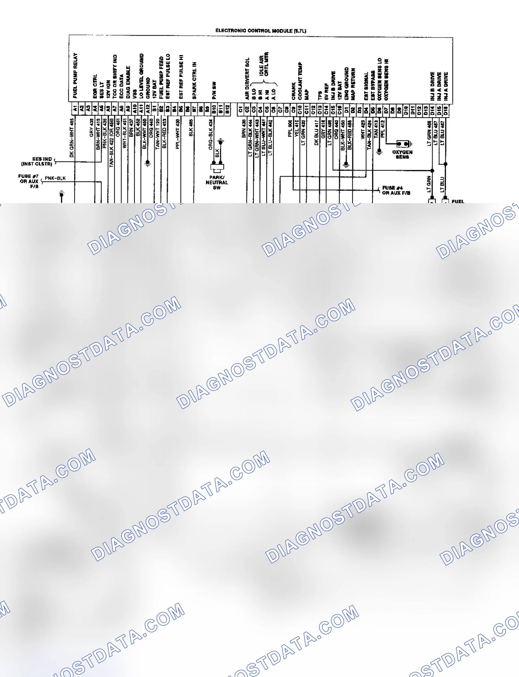 Scheme 19: "P" Series TBI/CCC Wiring Diagram