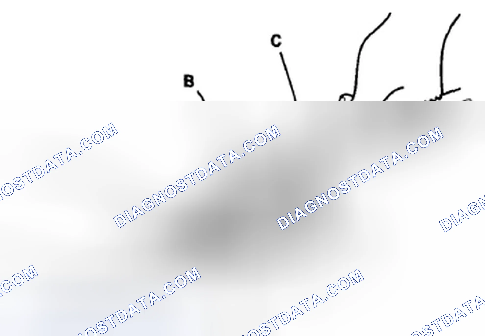 Scheme 18