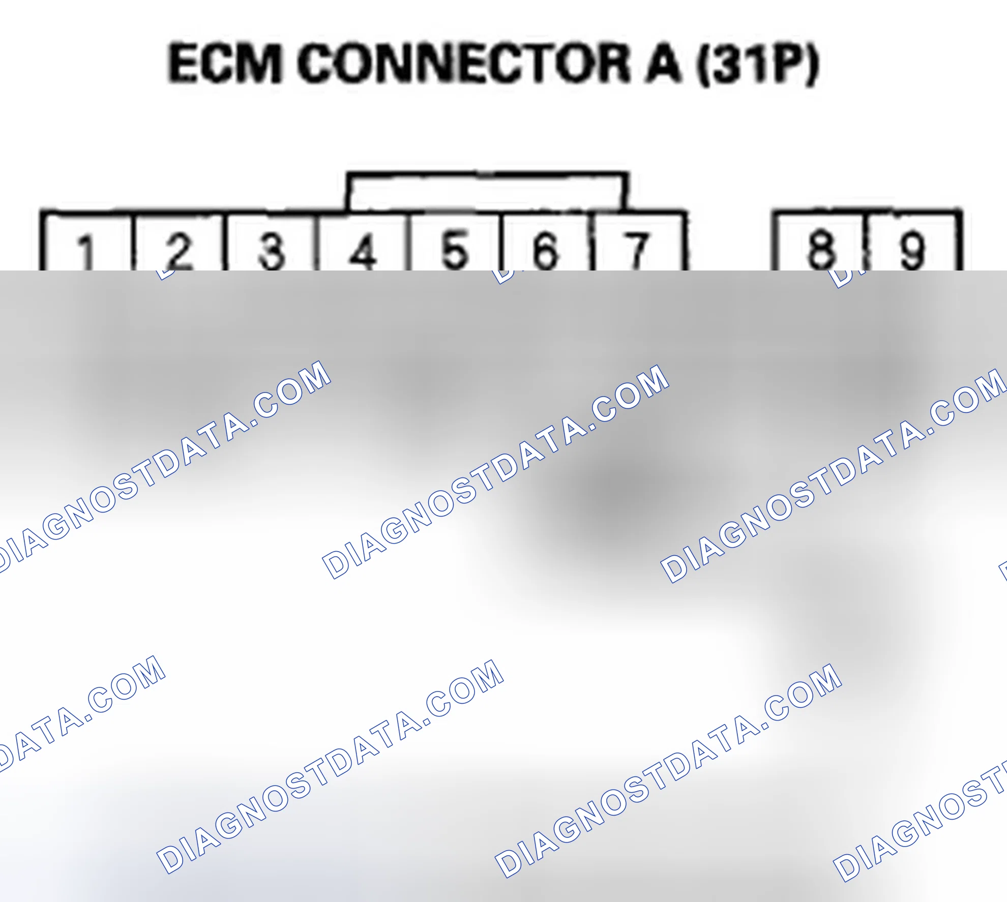 Scheme 372