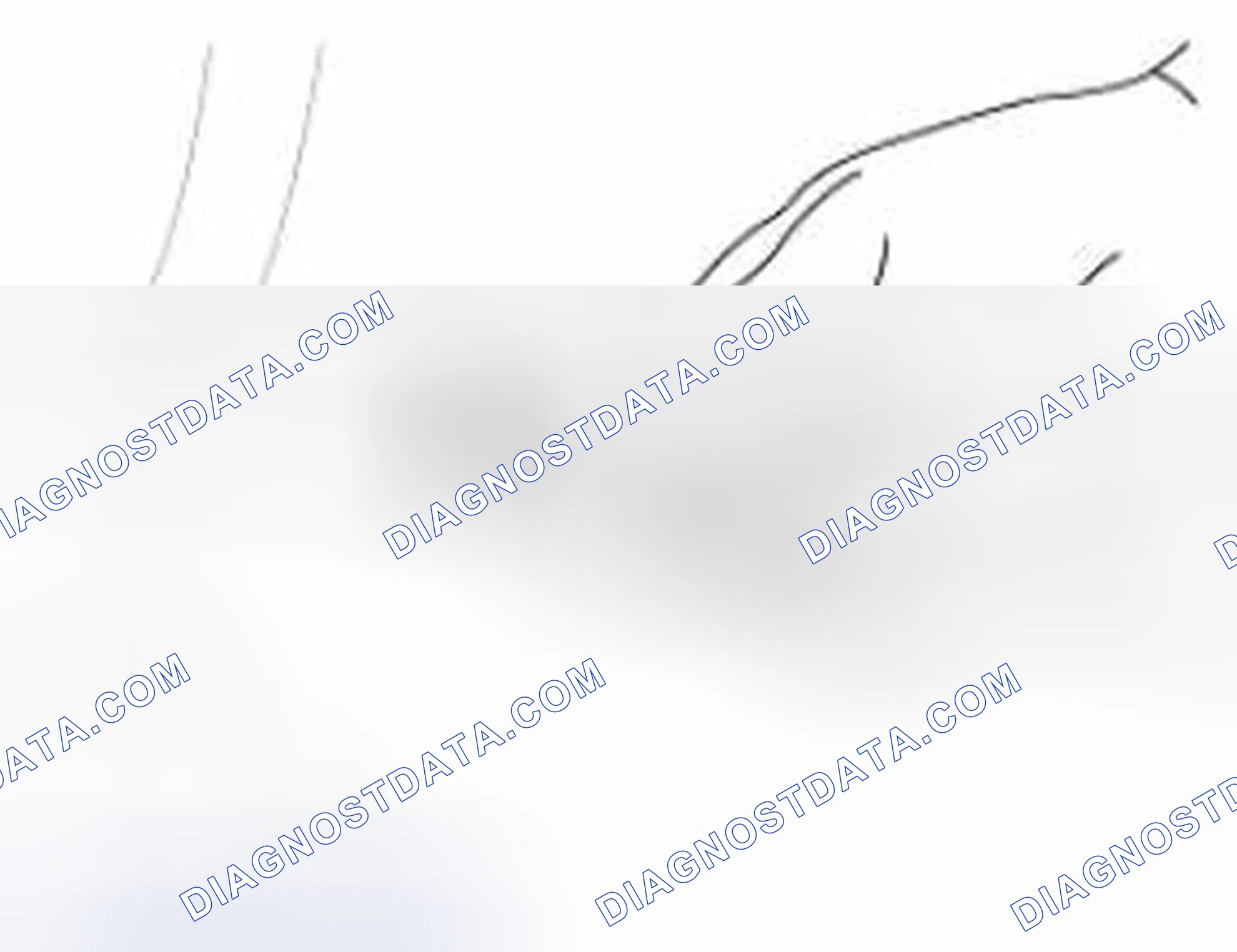 Scheme 5: Inspection