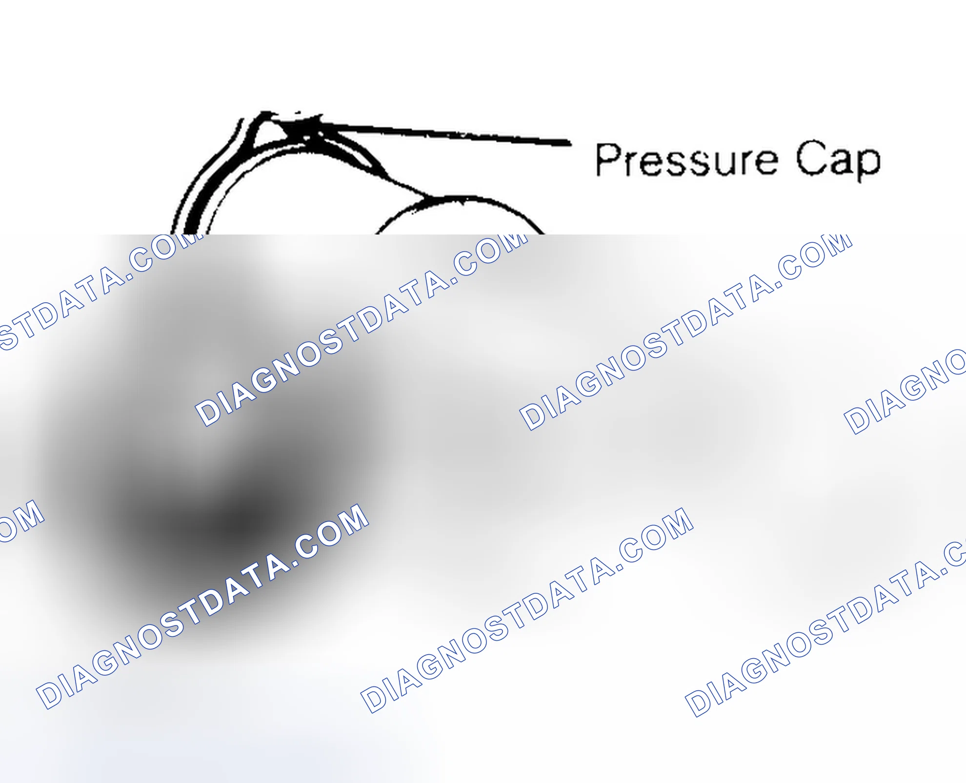Scheme 2: Pressure Testing Radiator Cap