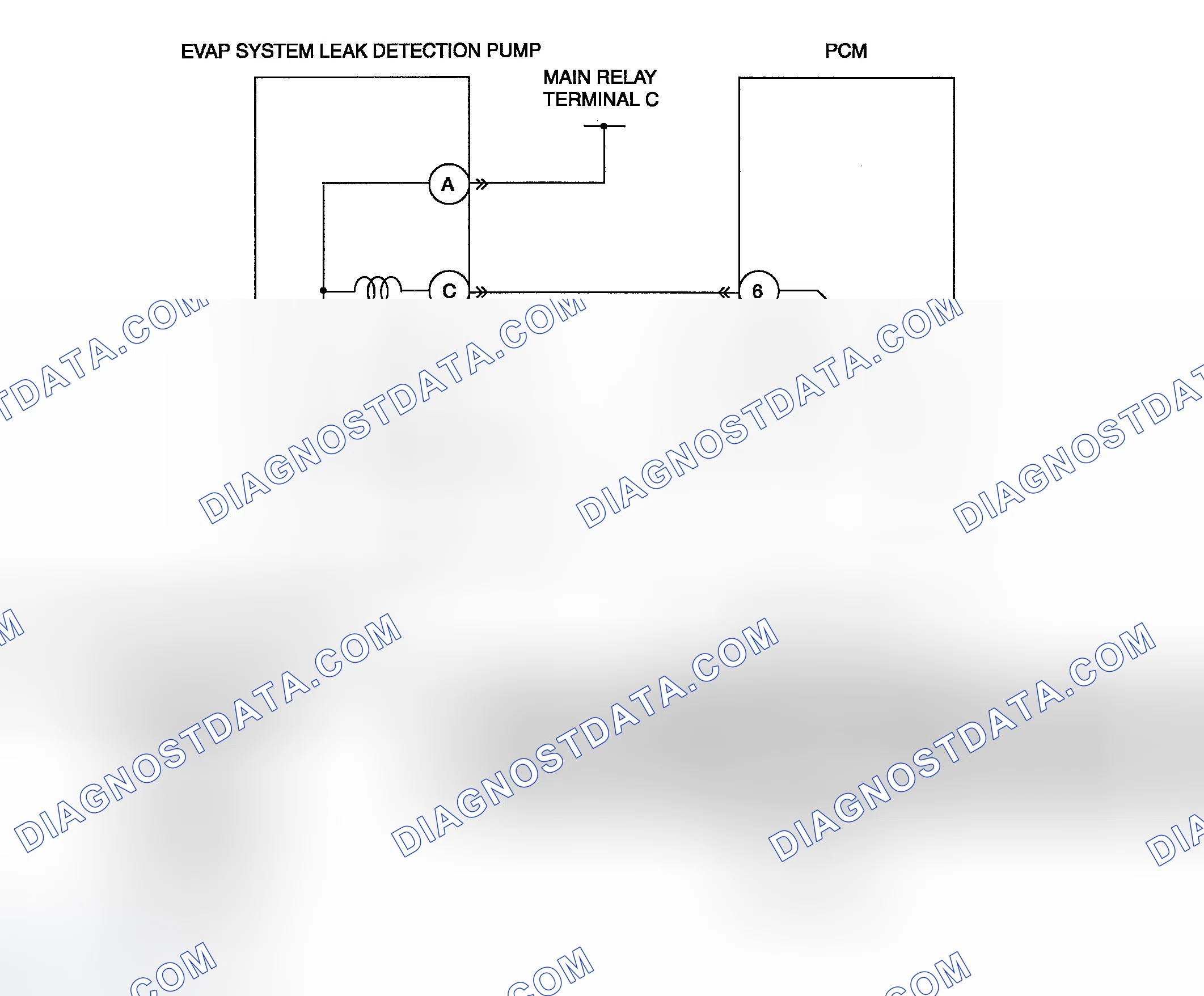 Scheme 89: Diagnostic Procedure
