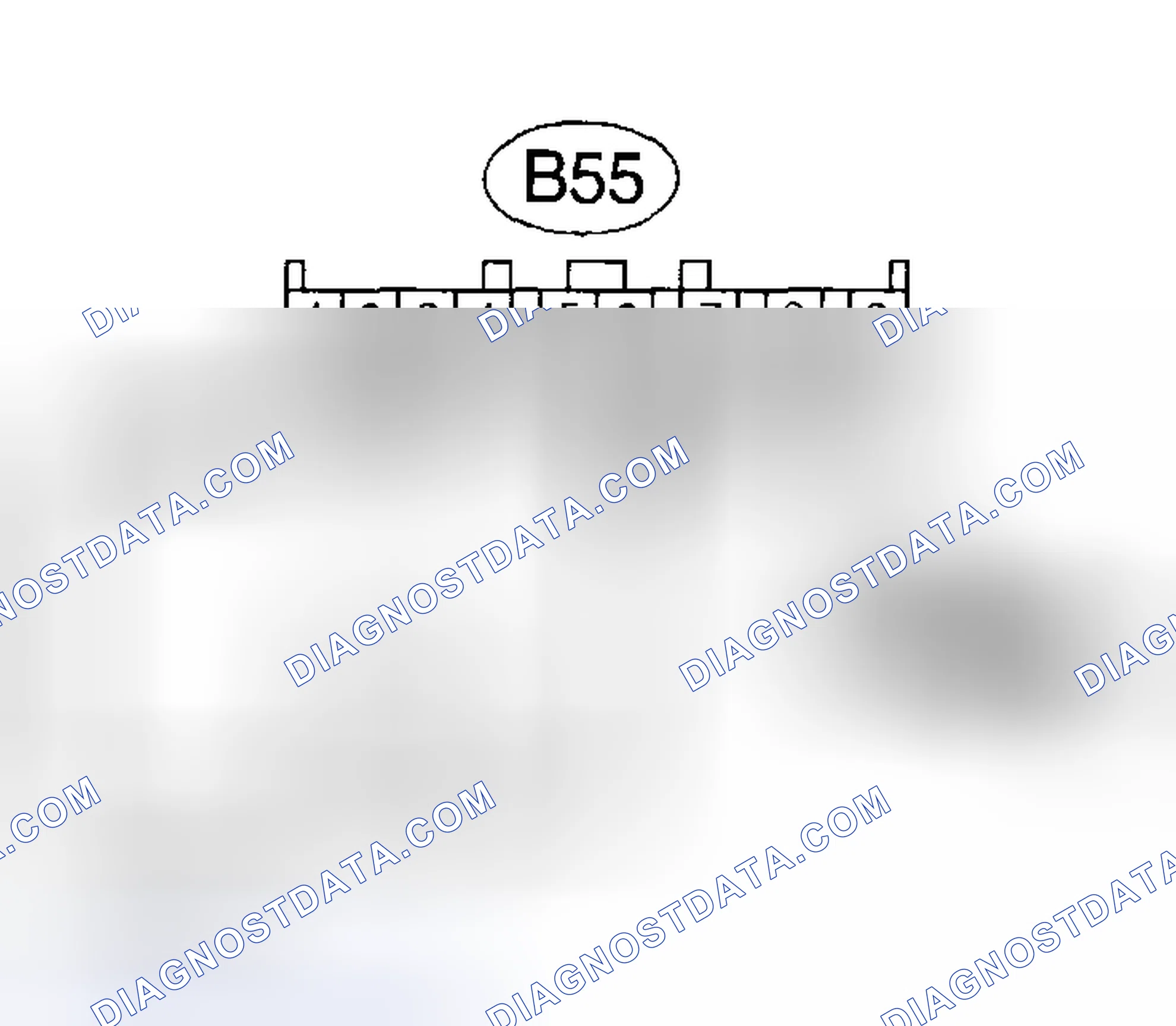 Scheme 405: Diagnostic Procedure