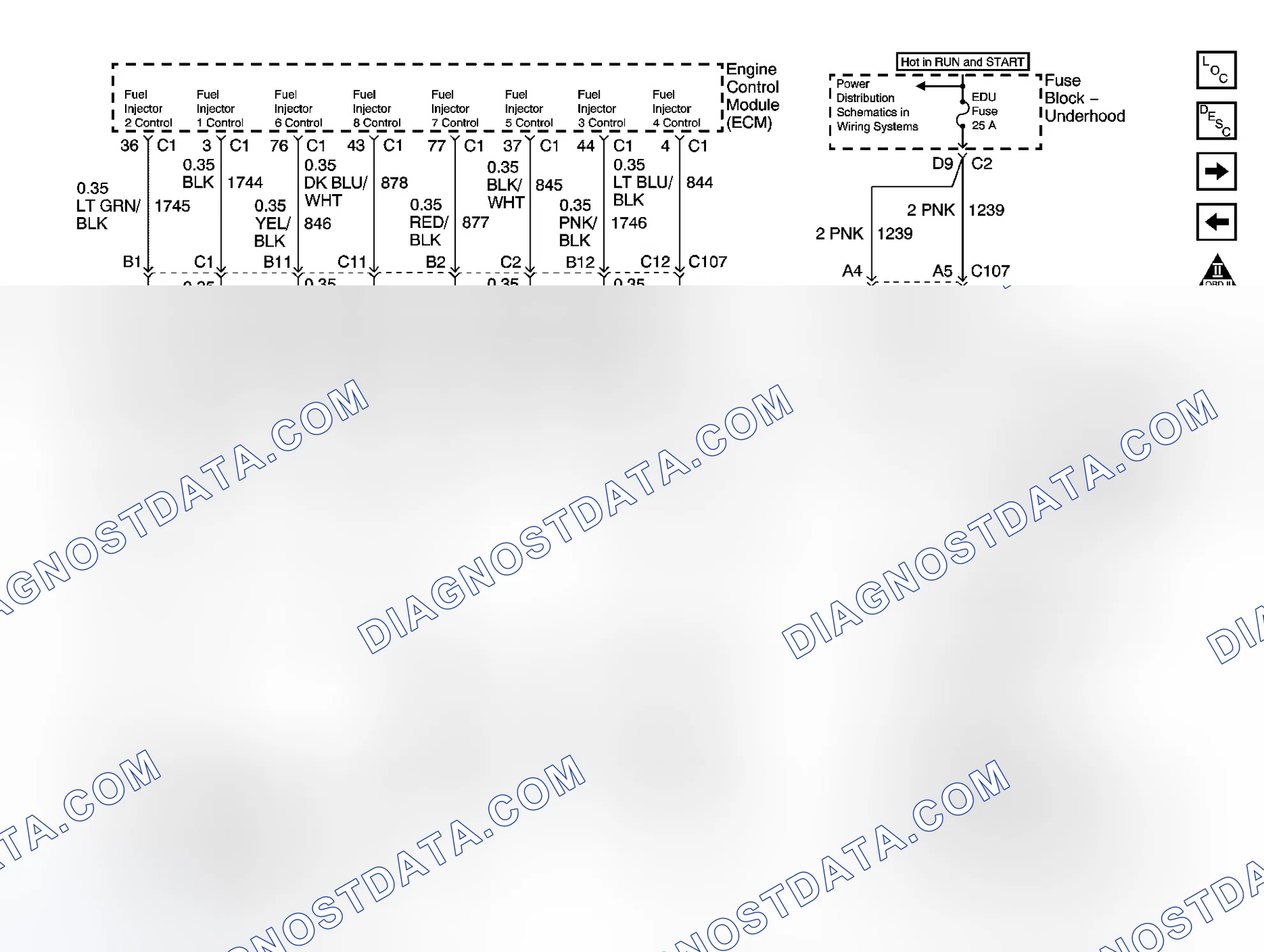 Scheme 244