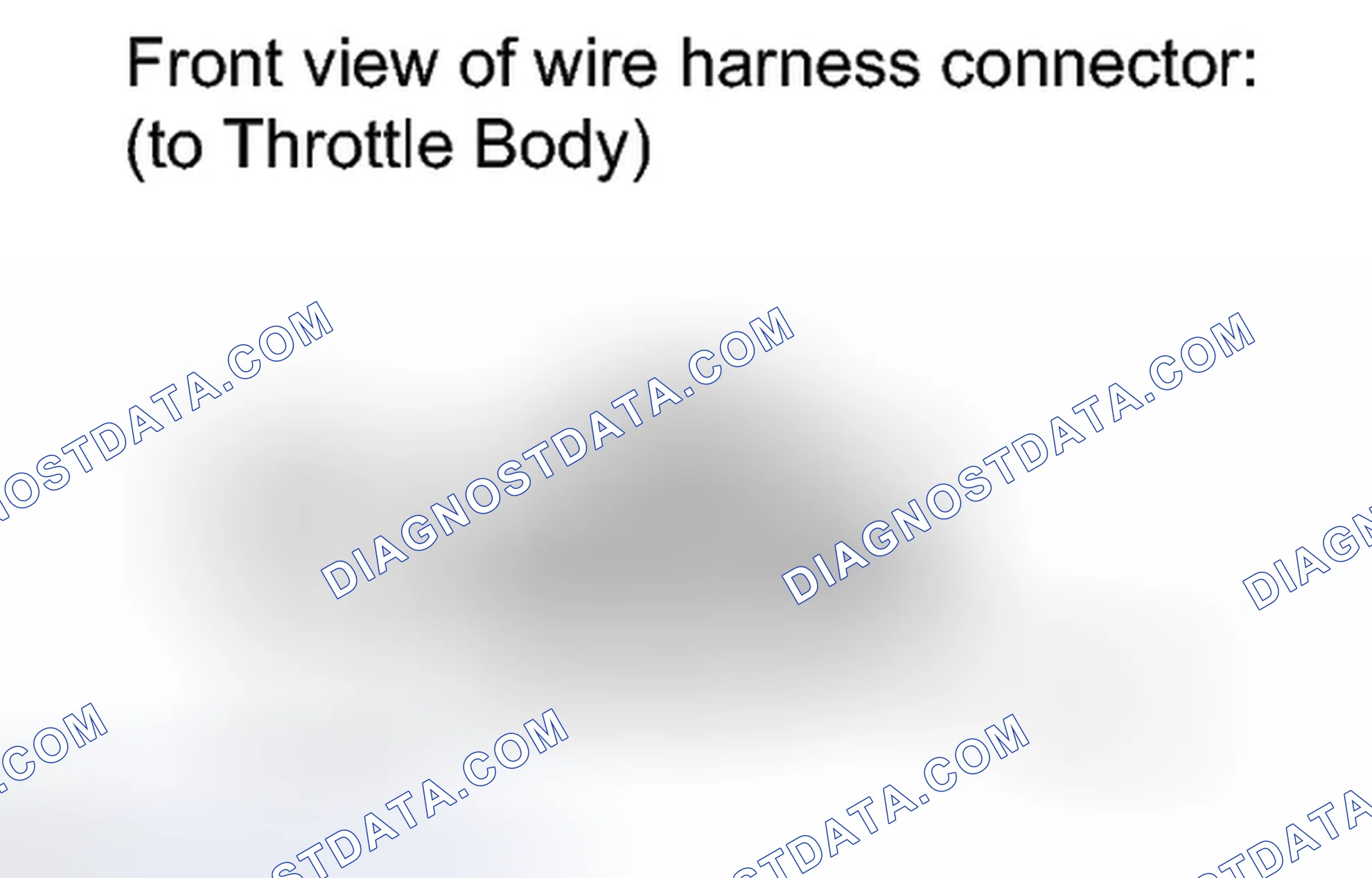 Scheme 303