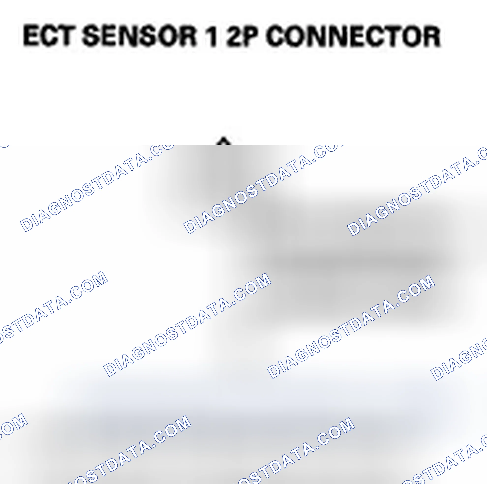 Scheme 382