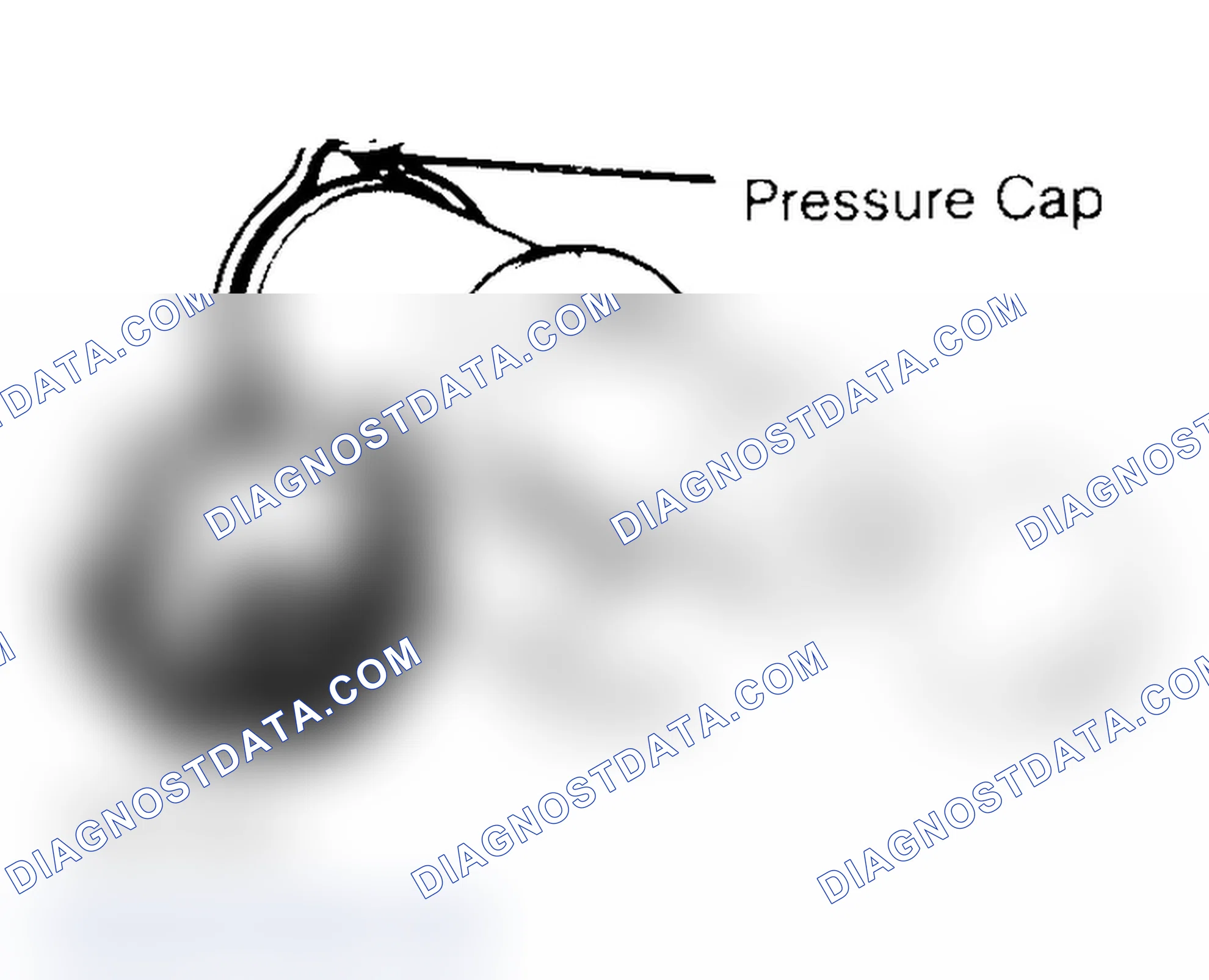 Scheme 2: Pressure Testing Radiator Cap