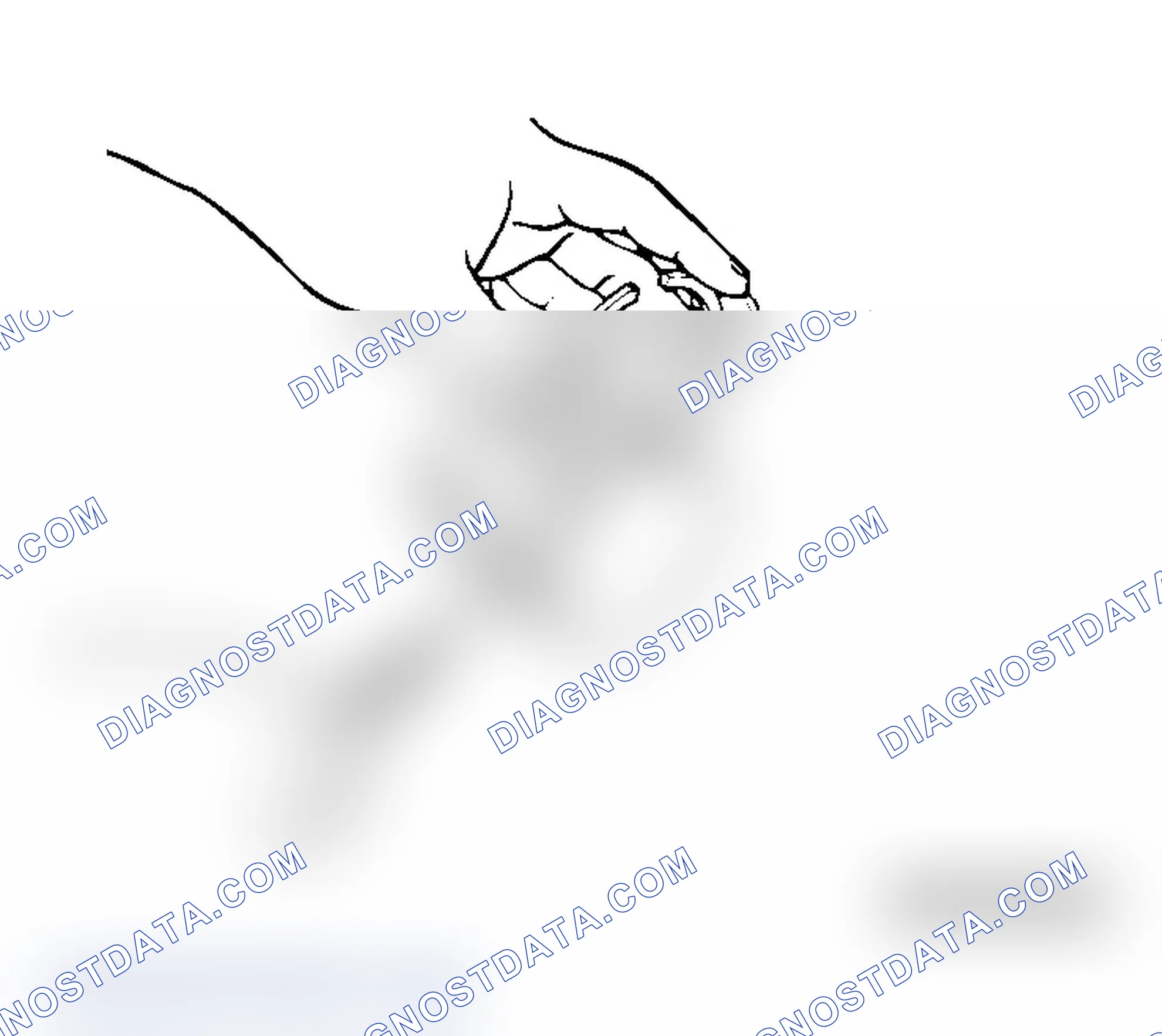 Scheme 334: PISTON RING
