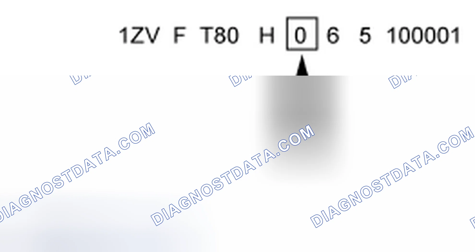Scheme 7
