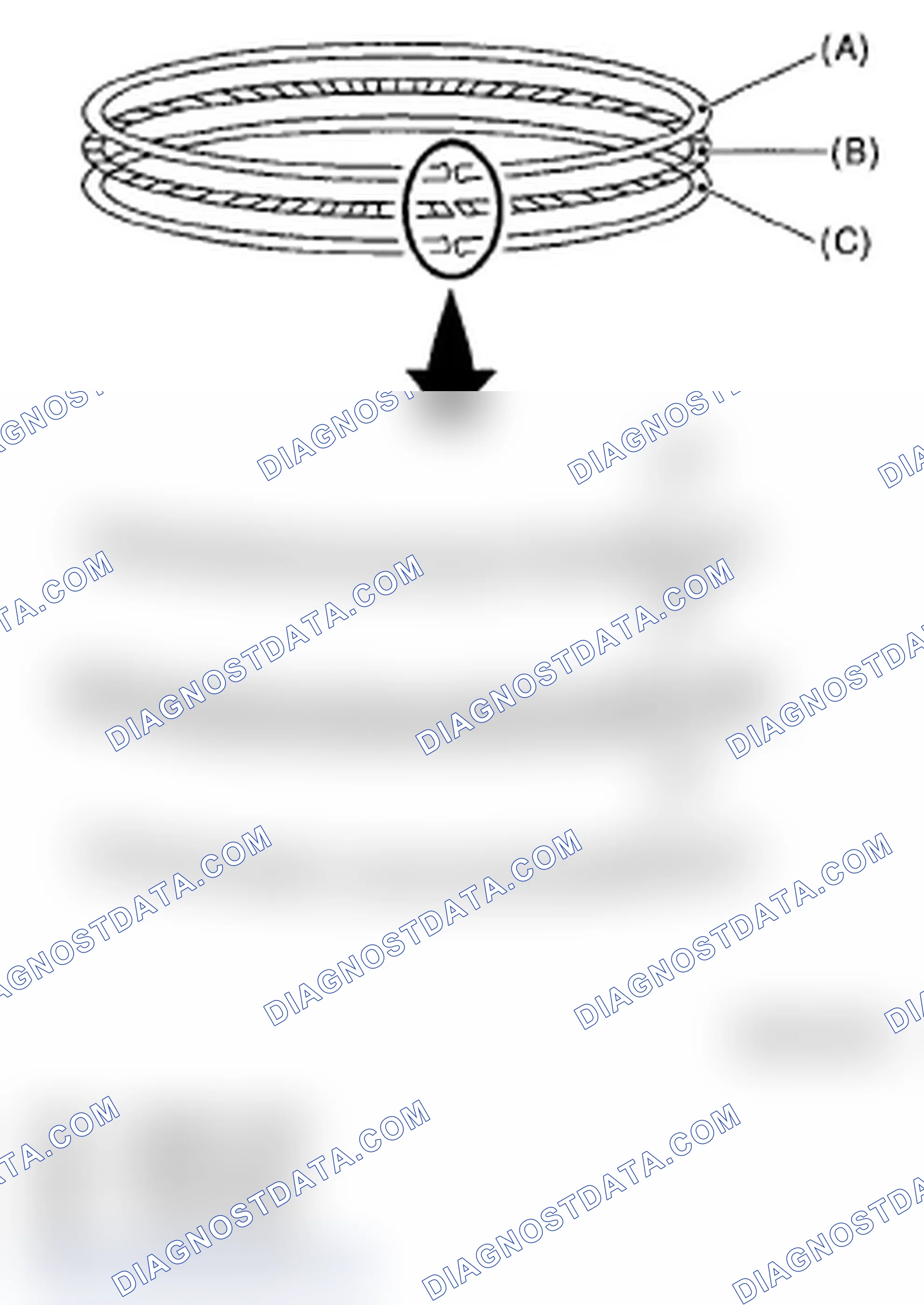 Scheme 232: PISTON RING