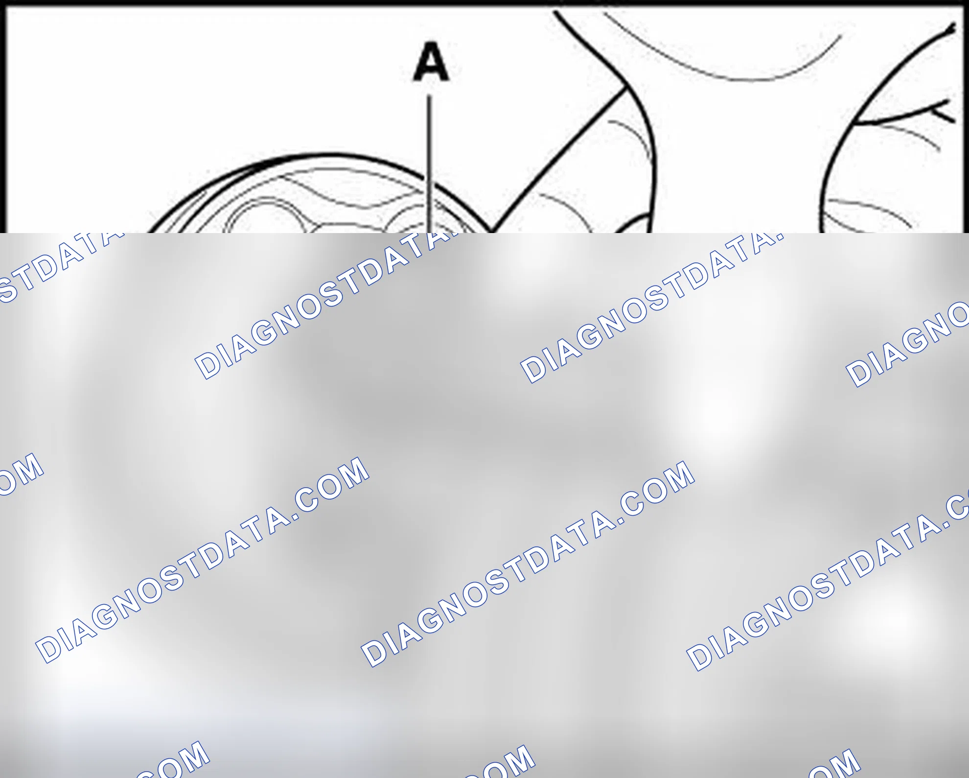 Scheme 101: REMOVING