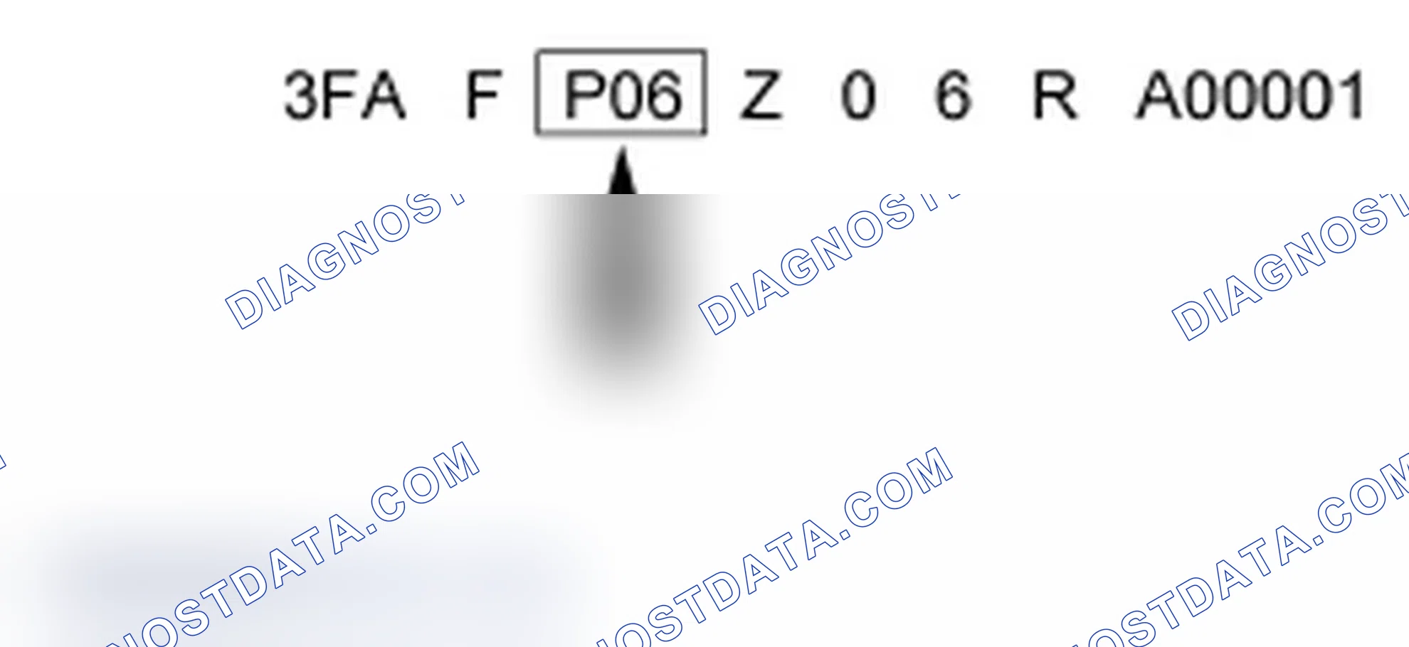 Scheme 5