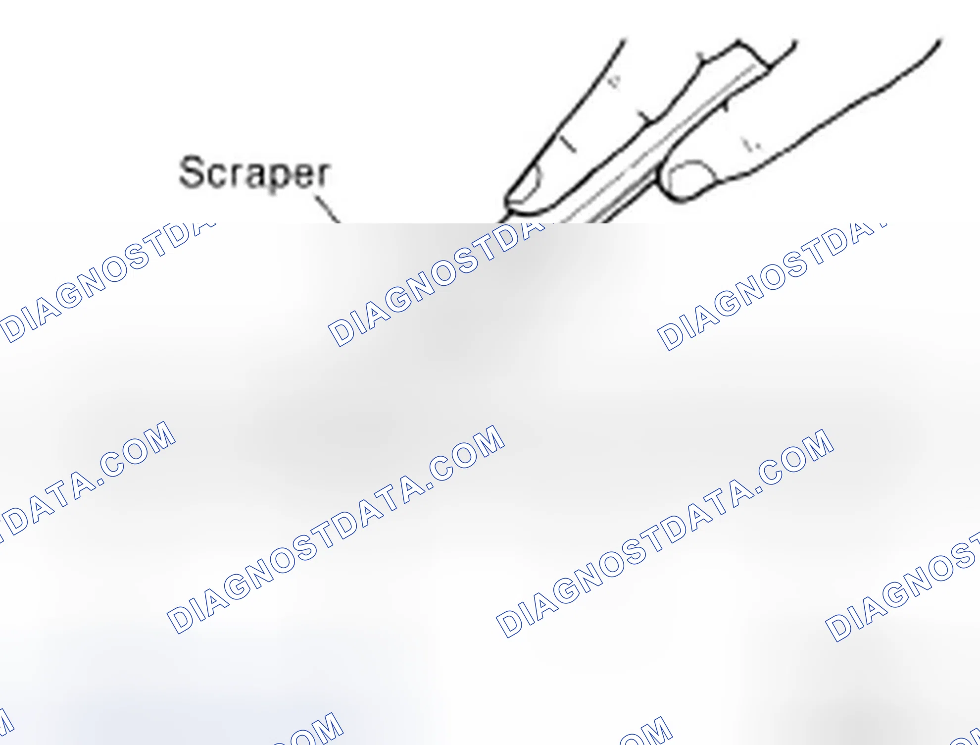 Scheme 2: LIQUID GASKET APPLICATION PROCEDURE