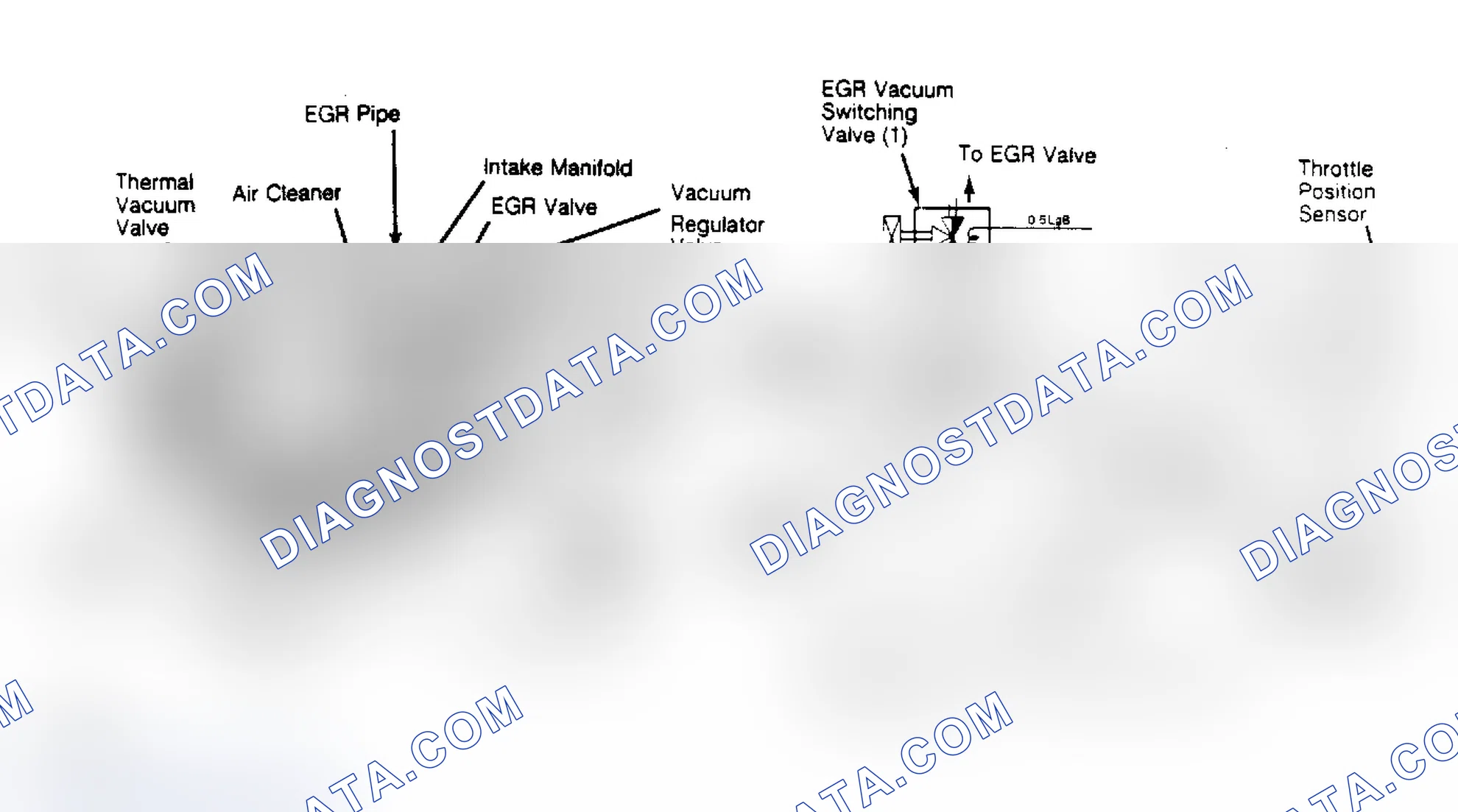 Scheme 8: EGR System & Vacuum Diagram (Diesel)