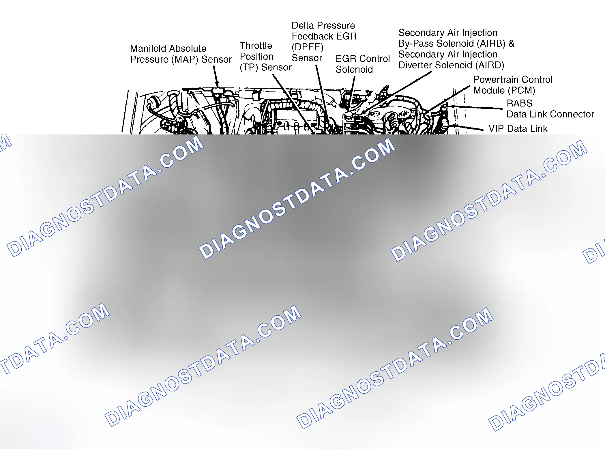 Scheme 7