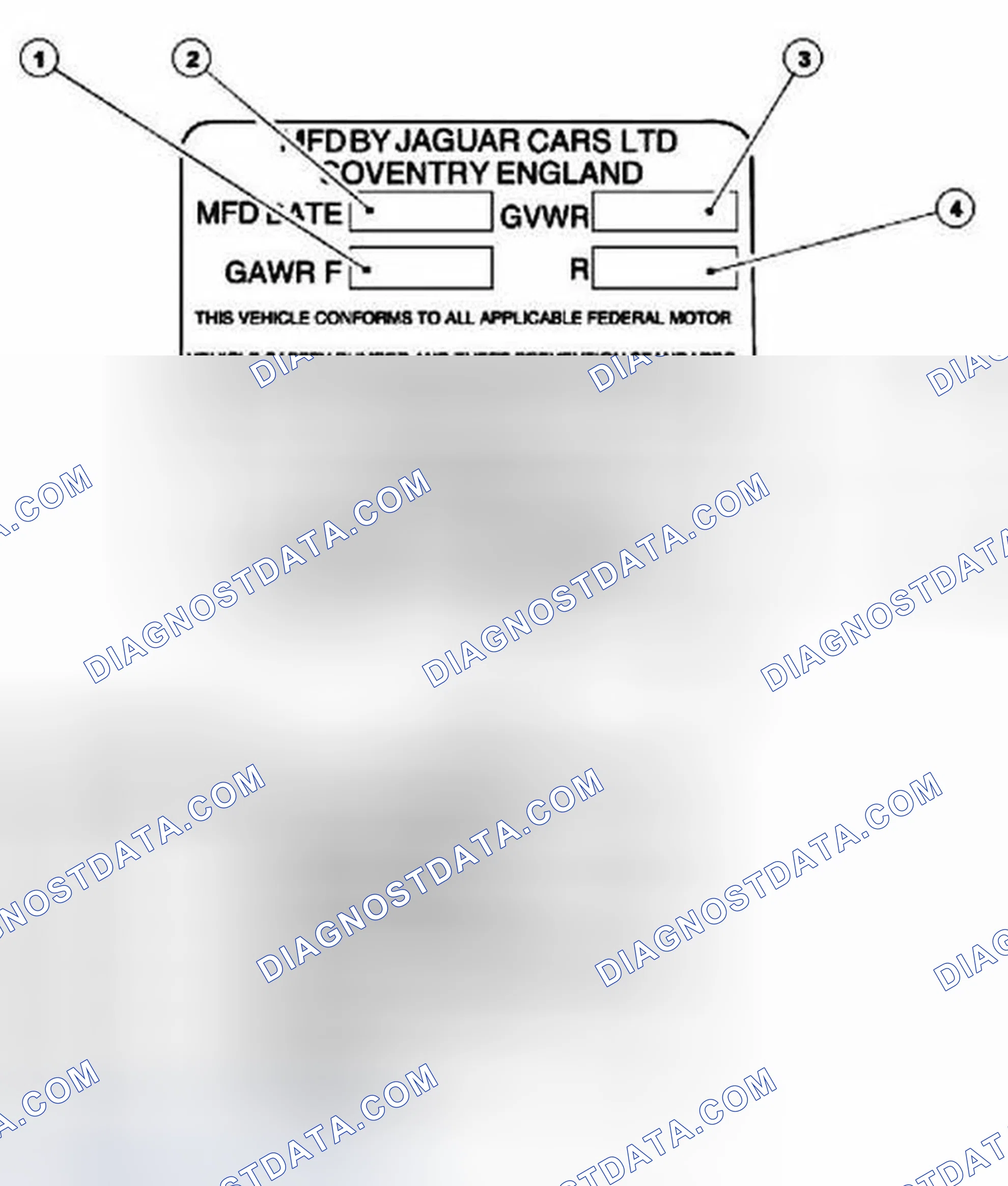 Scheme 10: Vehicle Identification Label (USA)