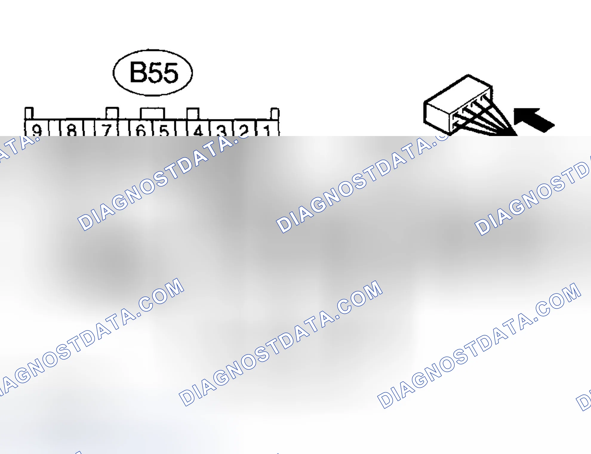 Scheme 414: Diagnostic Procedure