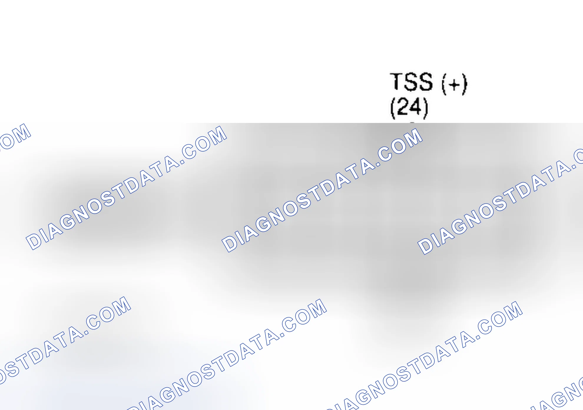 Scheme 127: Identifying Transmission 12-Pin Connector Terminals