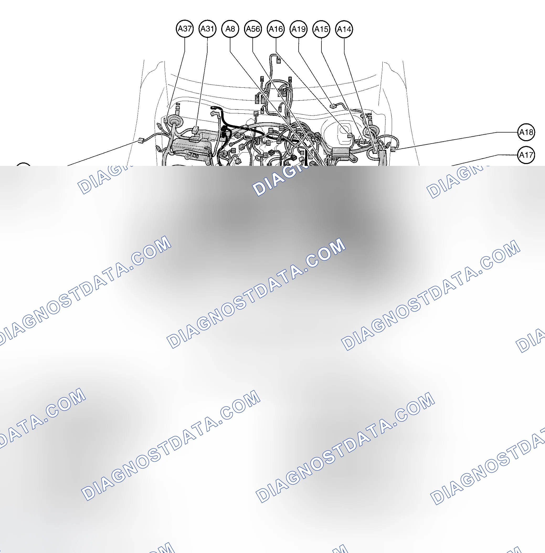 Scheme 12