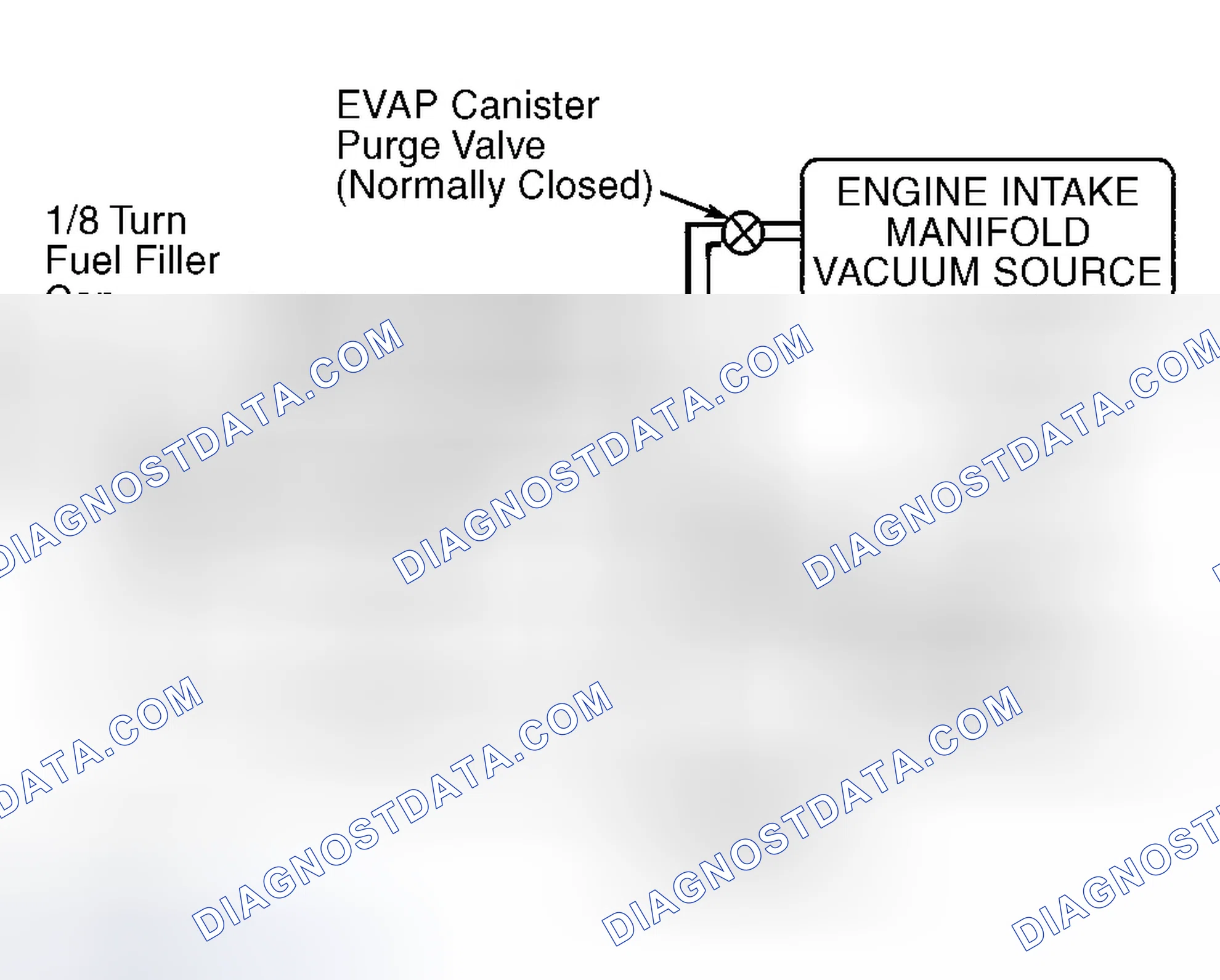 Scheme 46: Identifying EVAP System Components