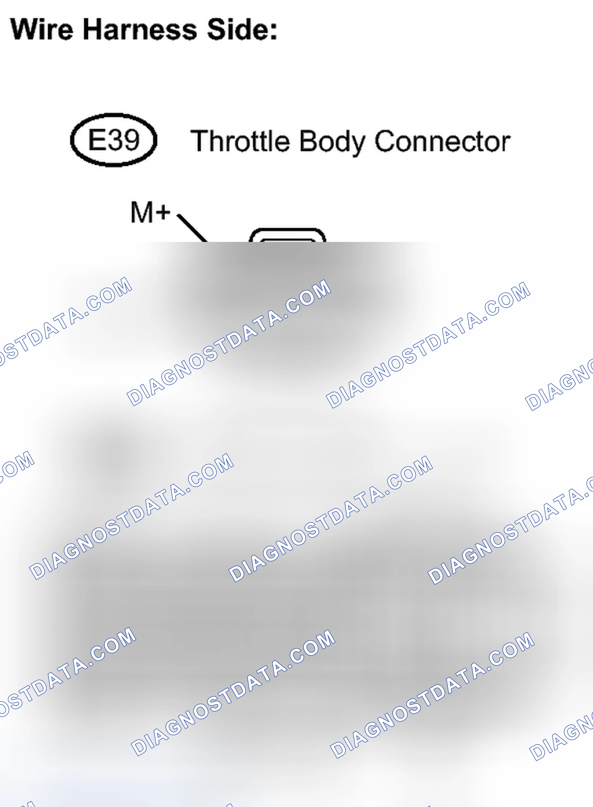 Scheme 107