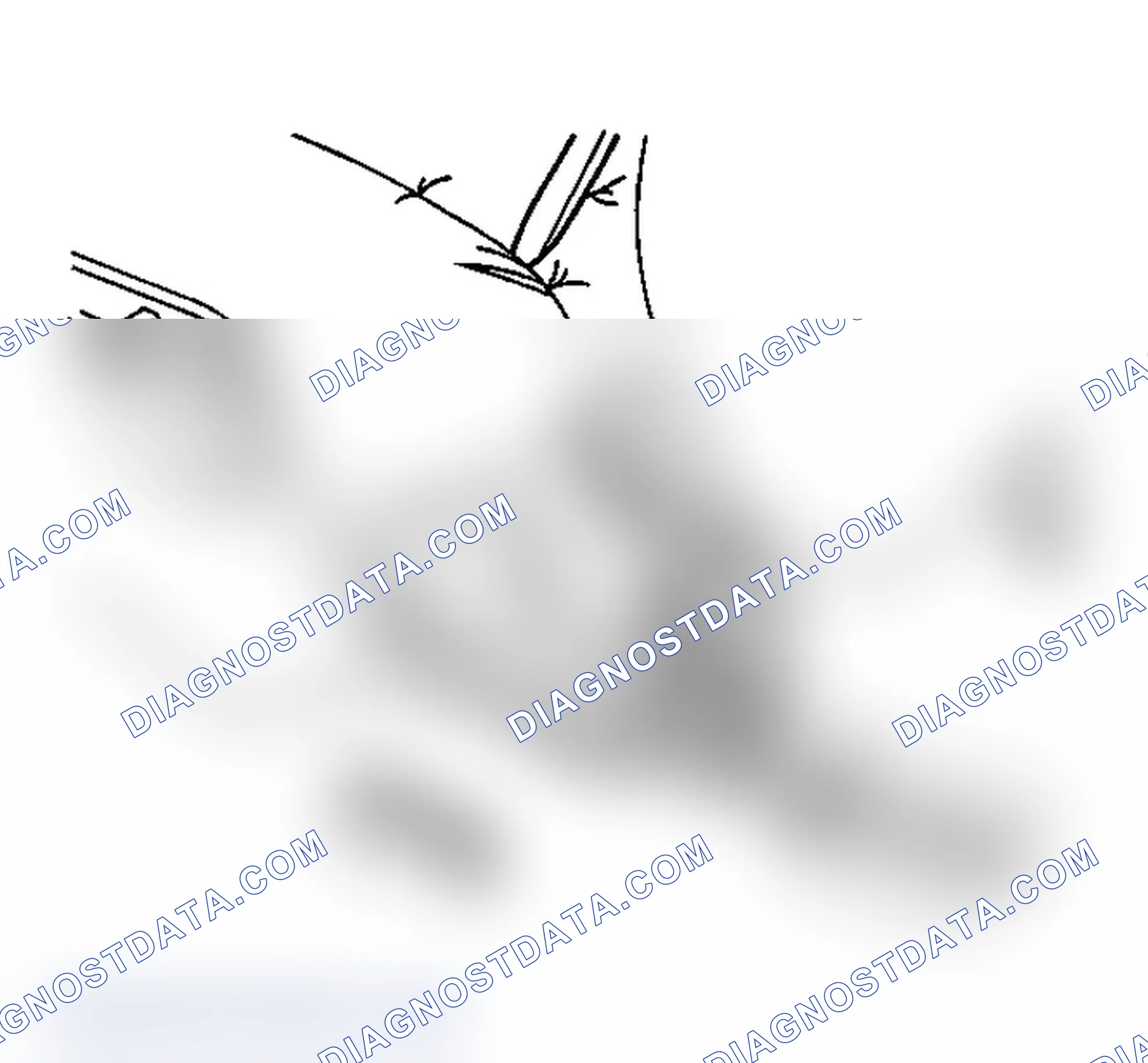 Scheme 18: Removal Procedure
