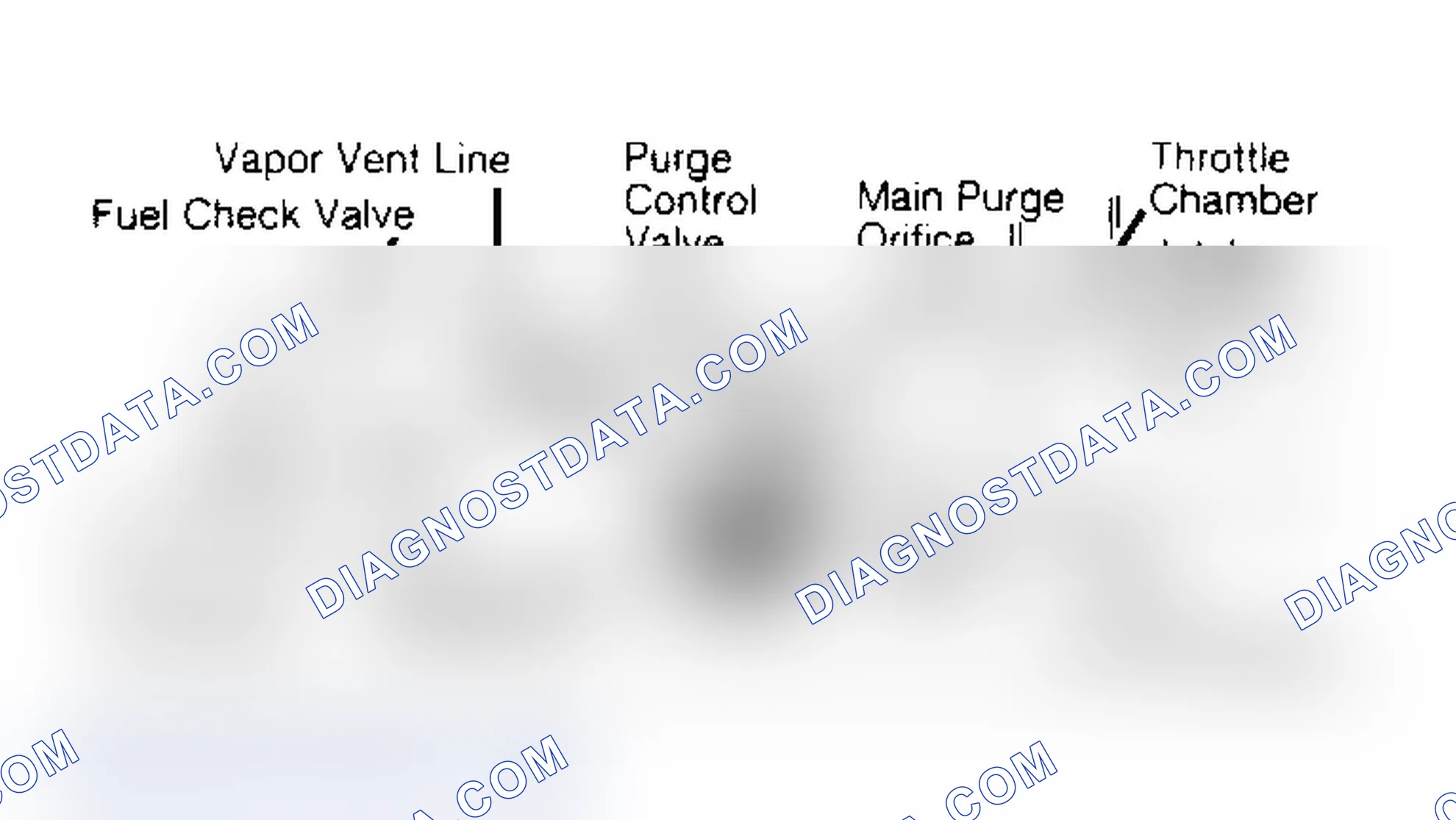 Scheme 8: Fuel Evaporation System Maxima, Pathfinder, Pickup, Stanza & 300ZX
