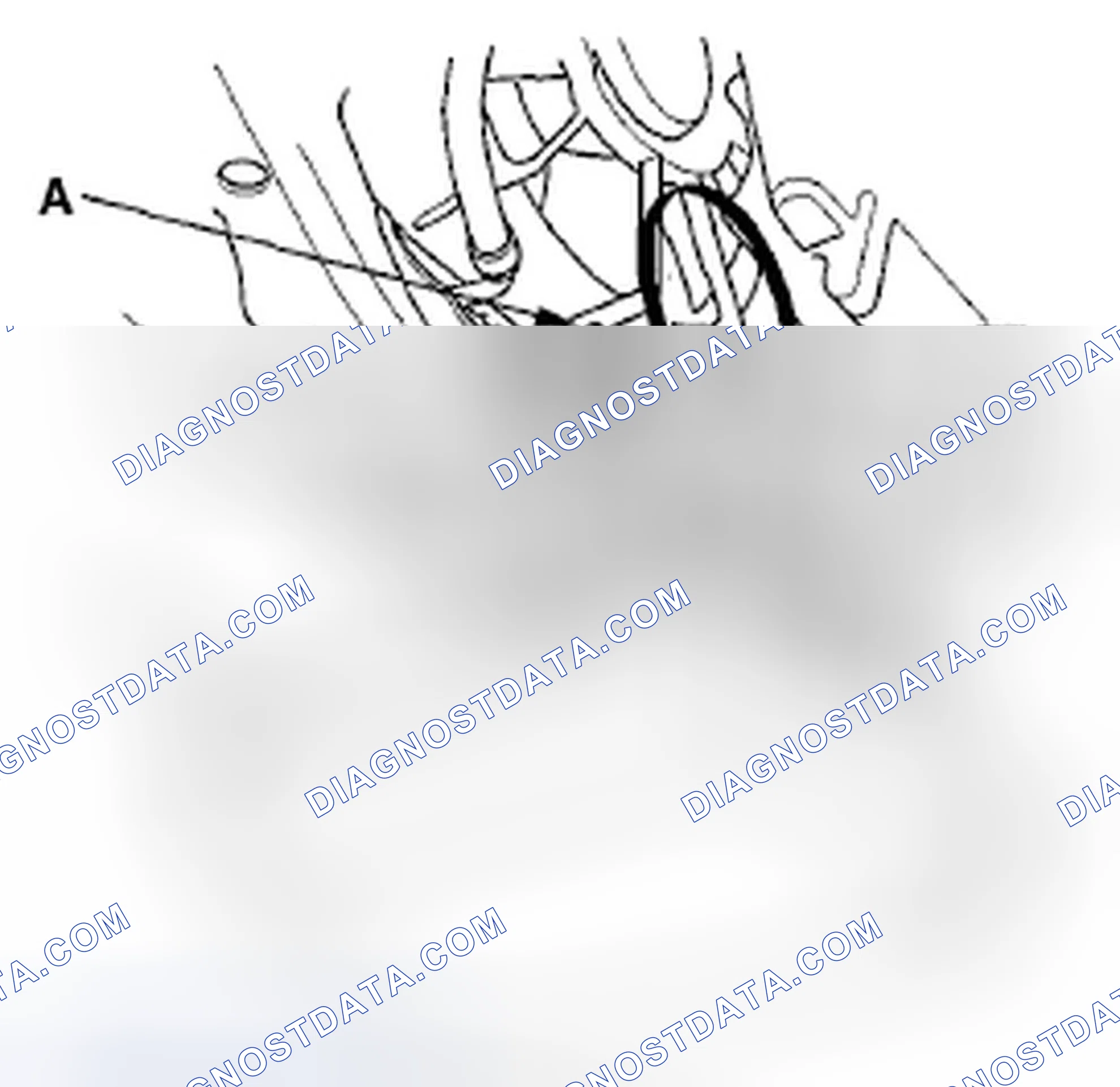 Scheme 12: COOLANT REPLACEMENT