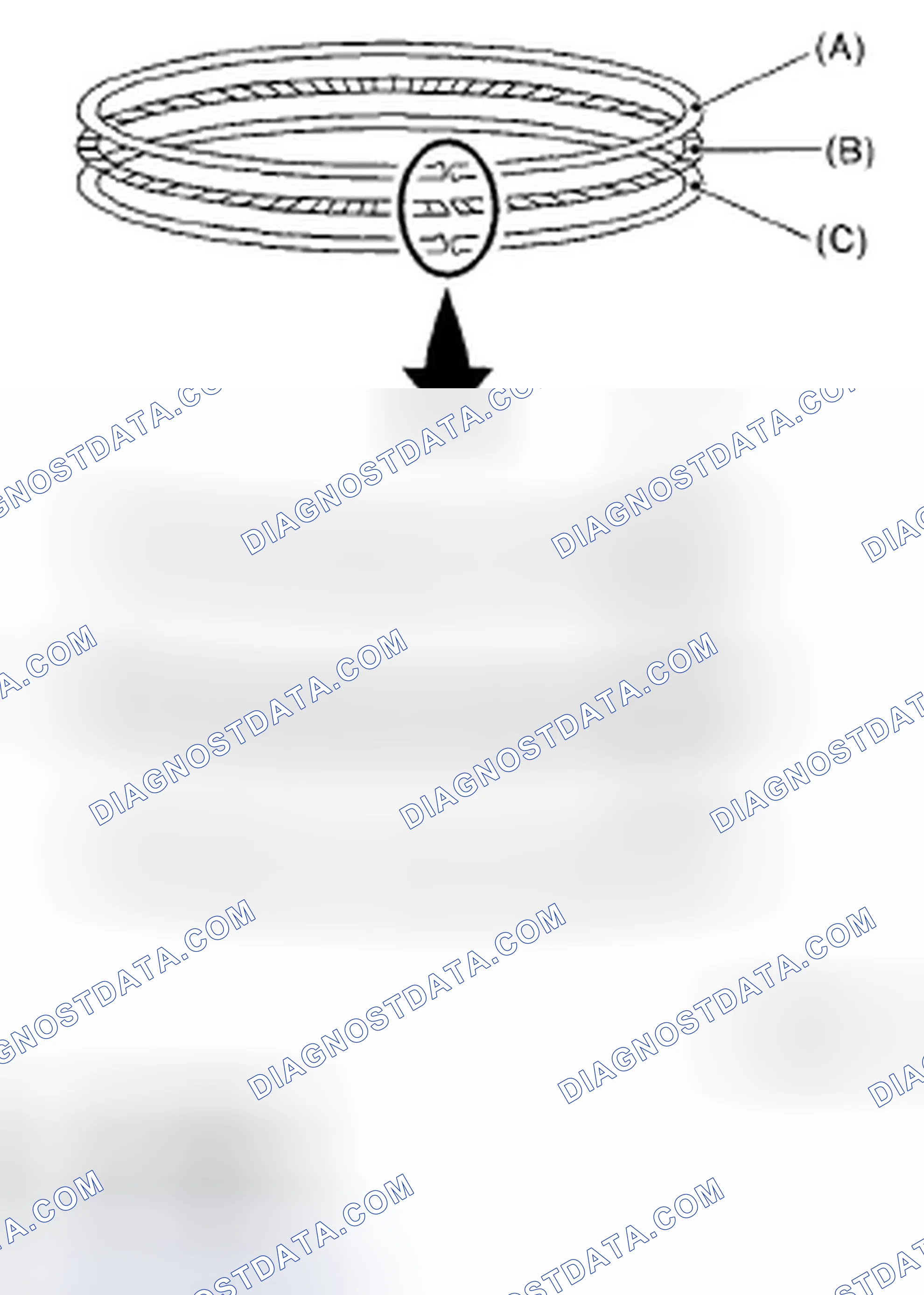 Scheme 462: PISTON RING