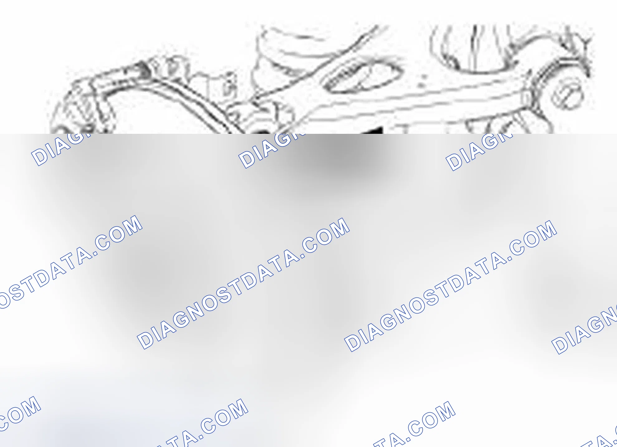 Scheme 4: Camber Adjustment - Rear
