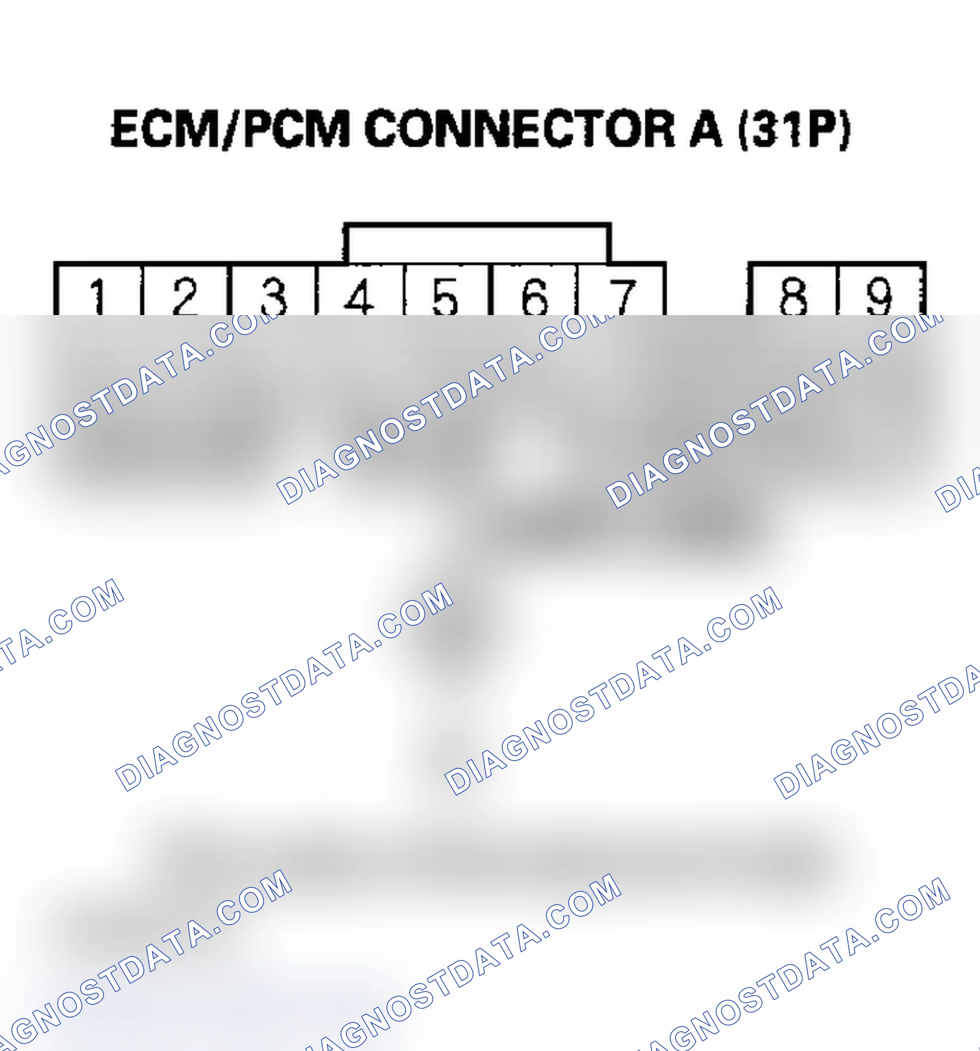 Scheme 146