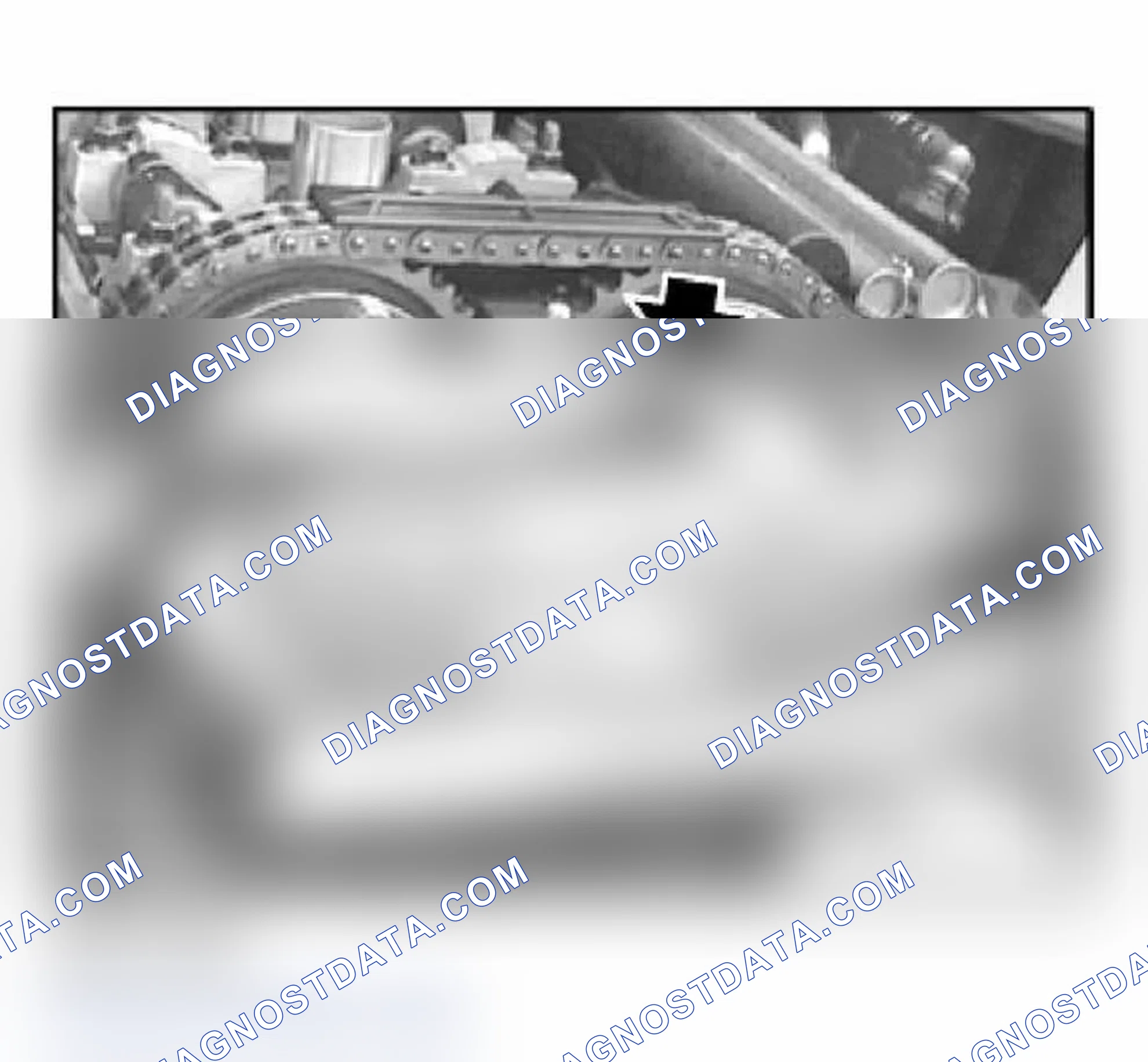 Scheme 335
