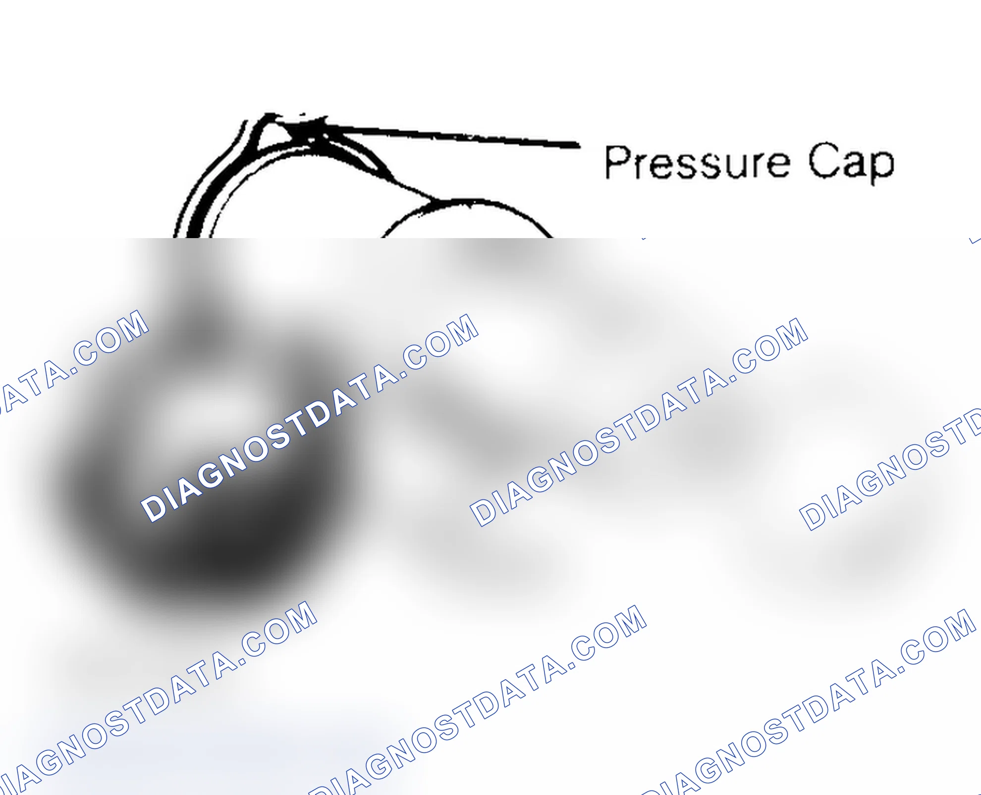 Scheme 2: Pressure Testing Radiator Cap