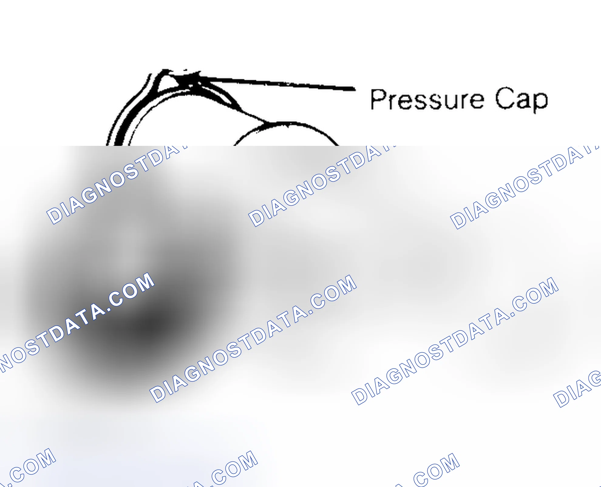 Scheme 2: Pressure Testing Radiator Cap